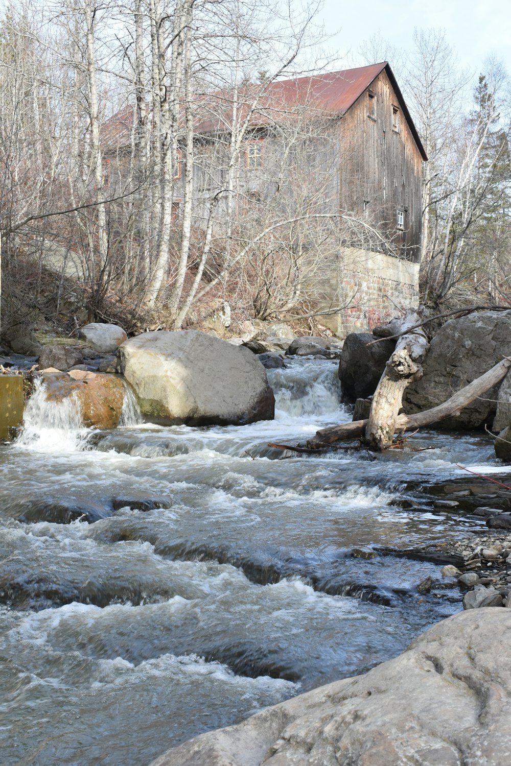 a river running through a forest filled with rocks