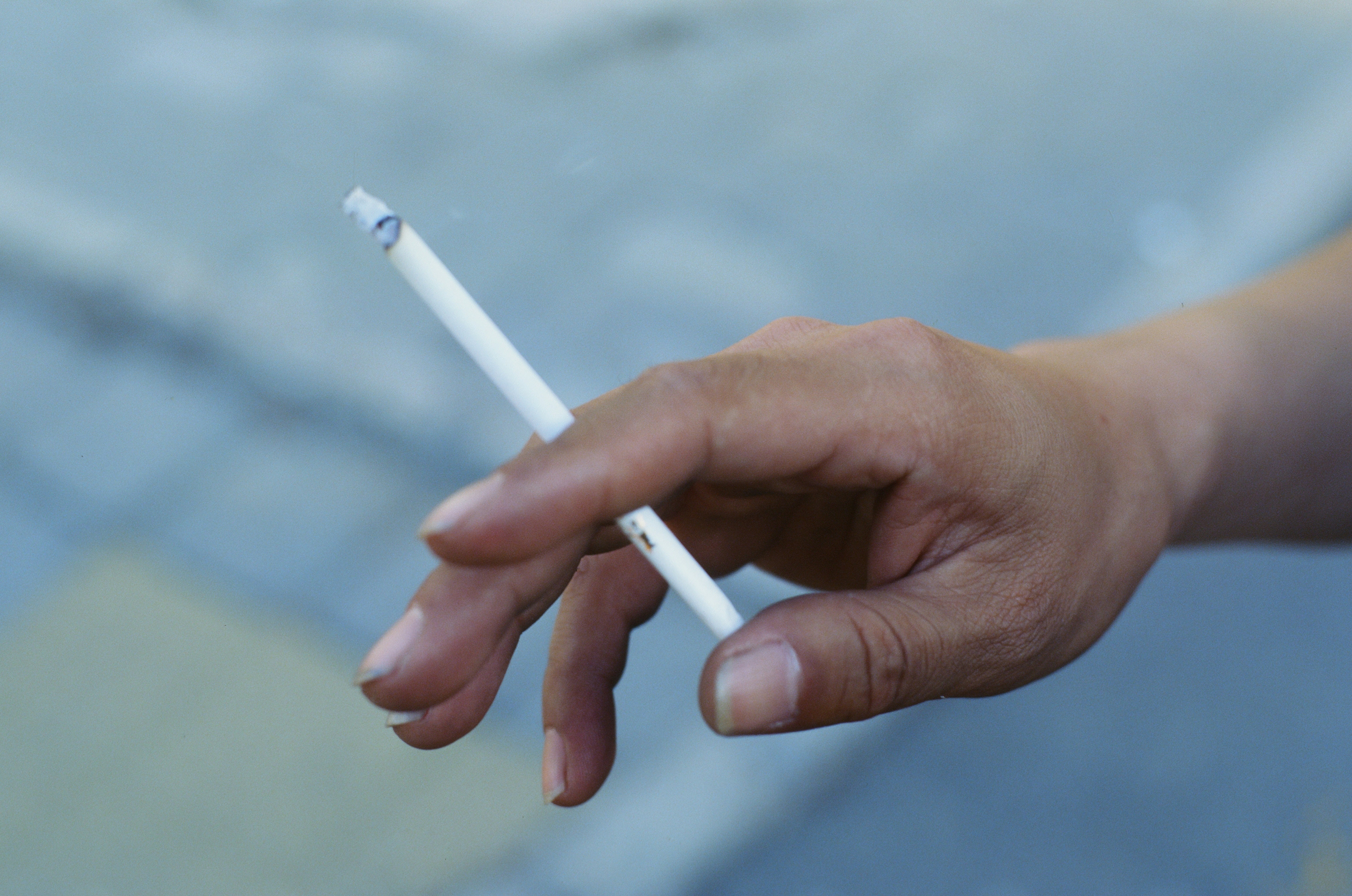 Photo by greedwolf97