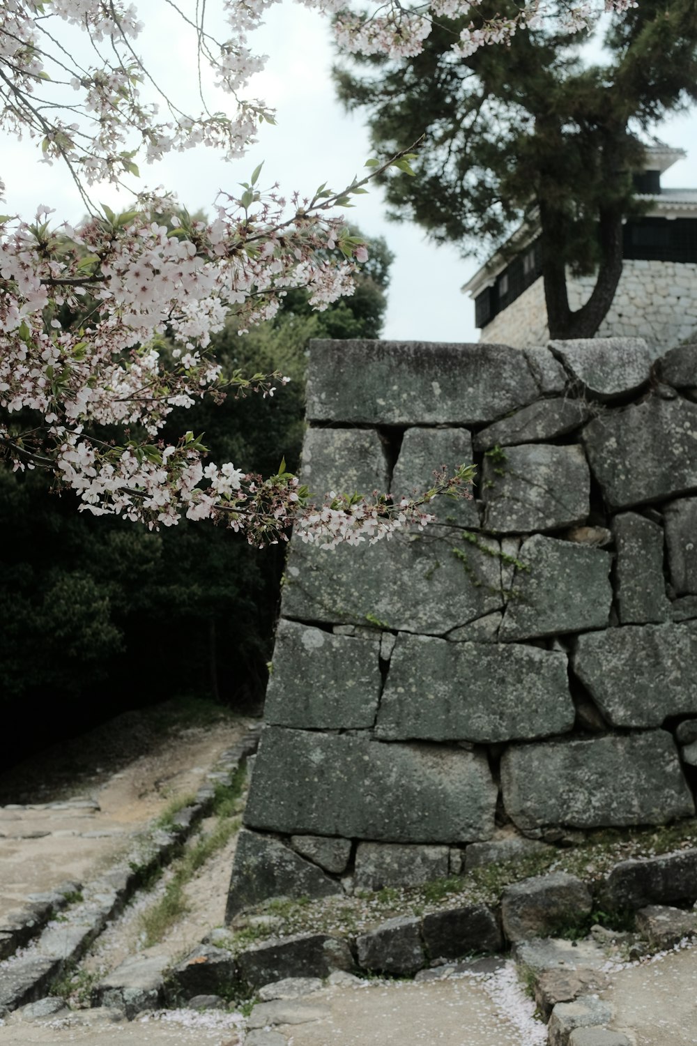 a stone wall with a tree in the background
