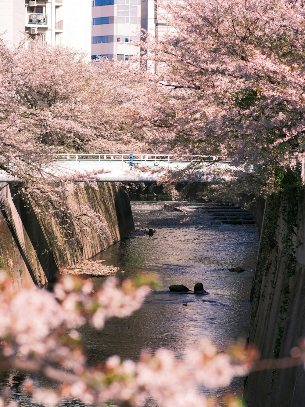 a river running through a city next to tall buildings