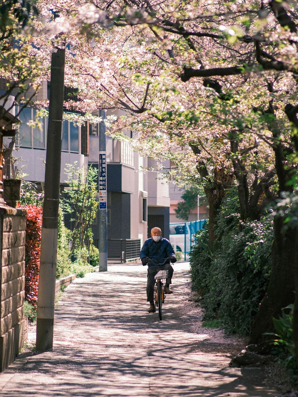 a man riding a bike down a tree lined street