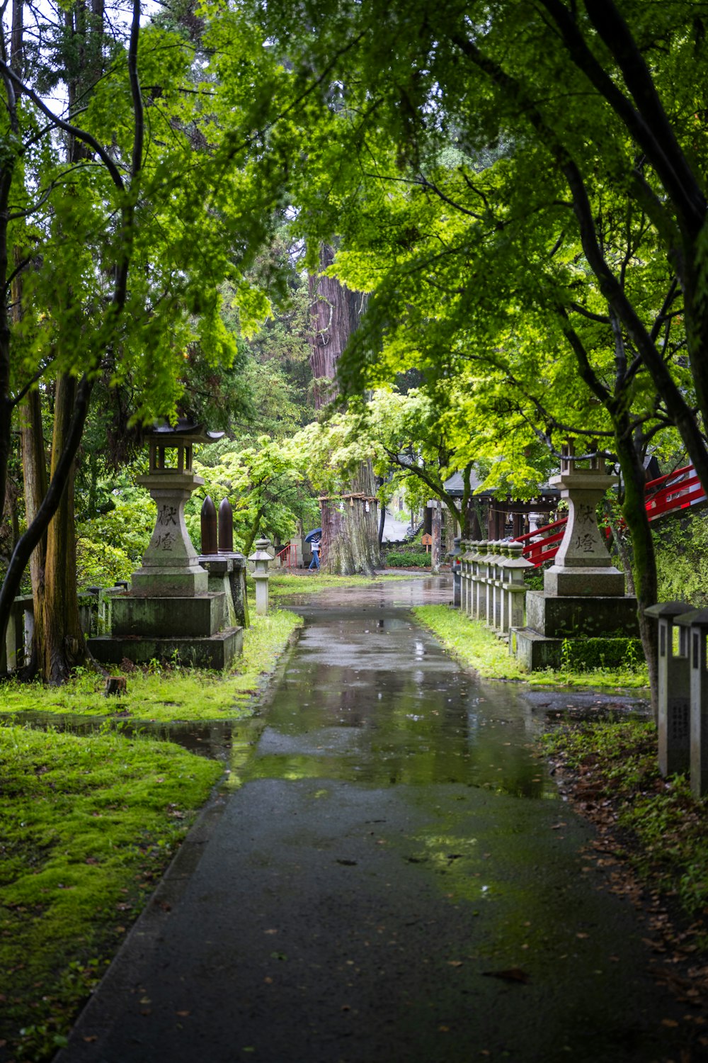 a path in the middle of a lush green park