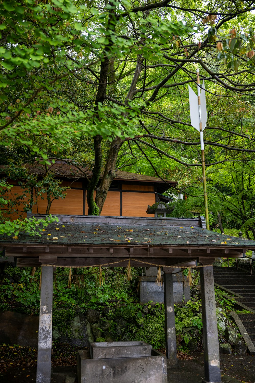 a wooden structure in a wooded area with trees