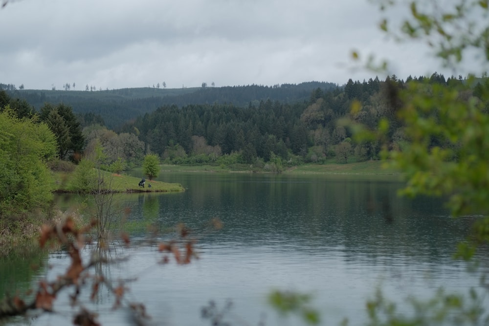 a lake surrounded by trees and a forest