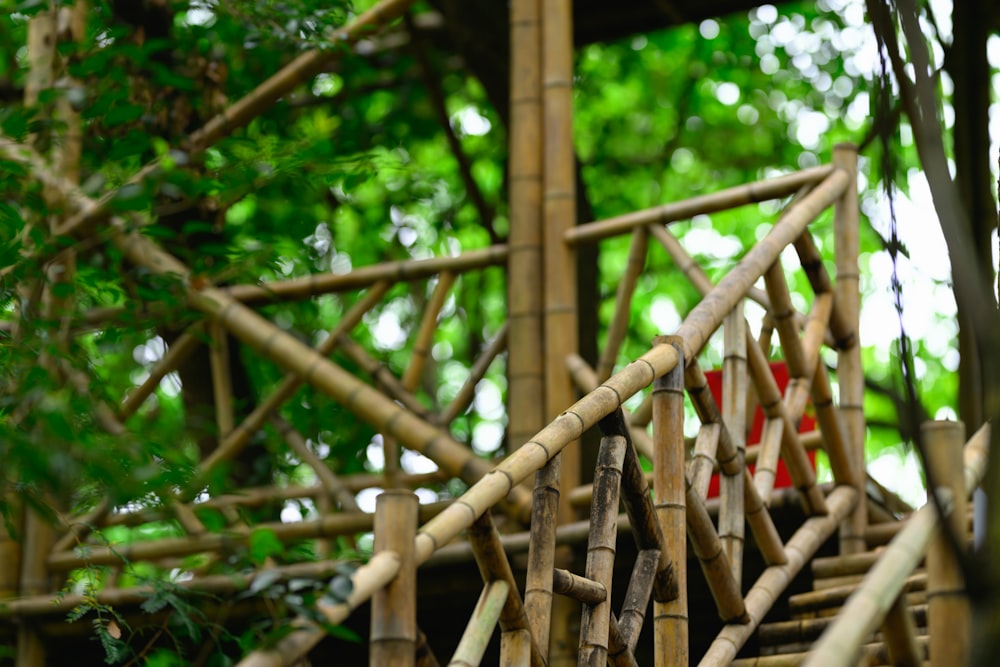a close up of a bamboo bridge with trees in the background