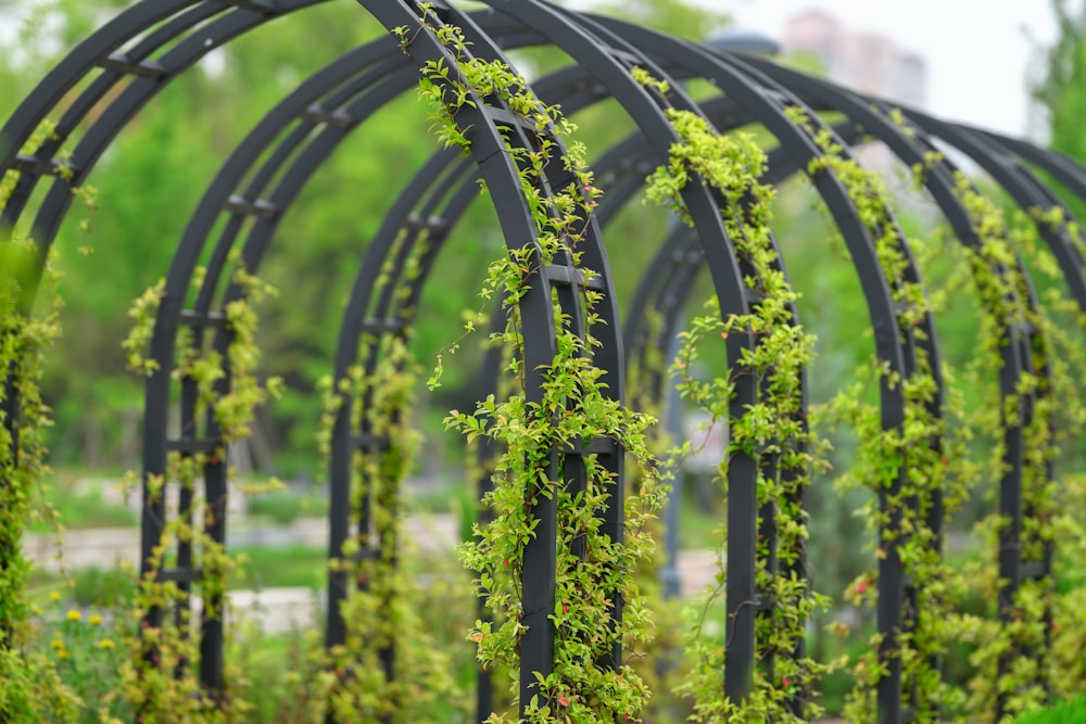 a row of metal arches covered in green plants