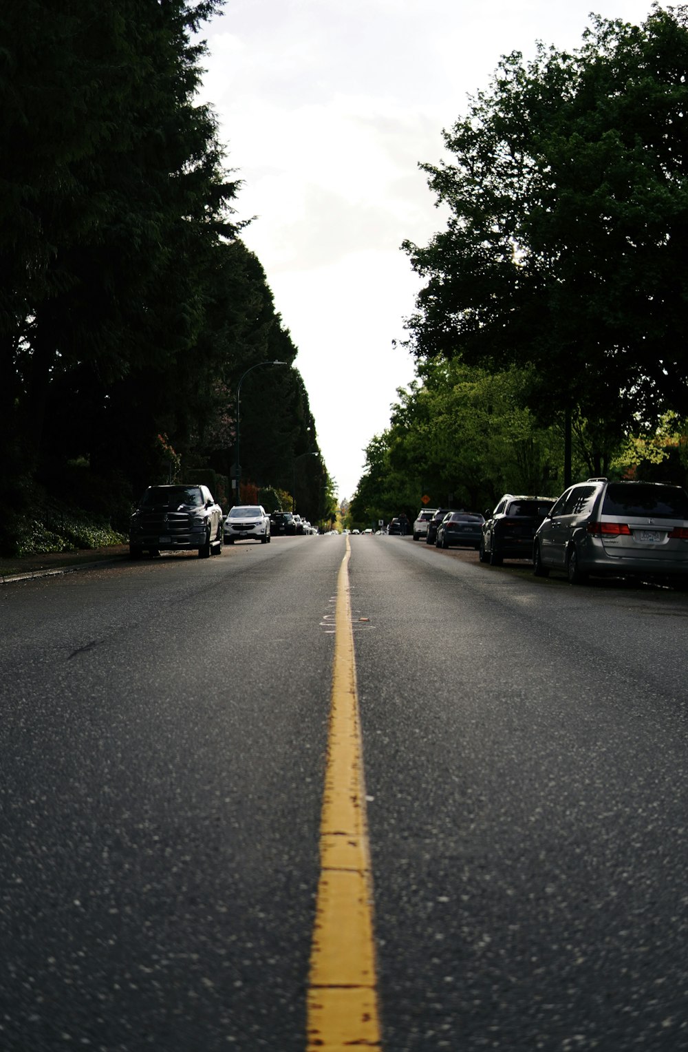 a street lined with parked cars and trees