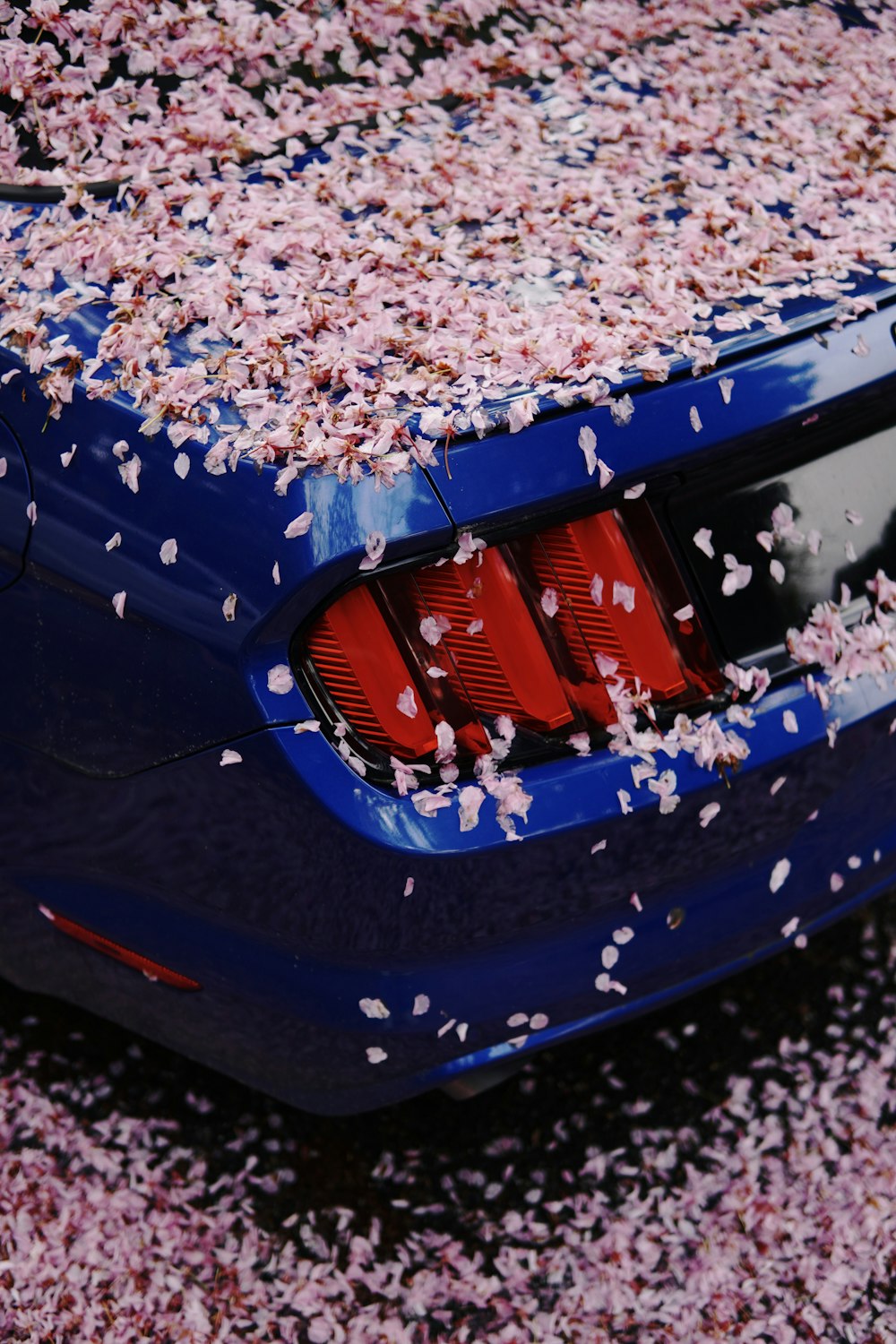 a blue sports car with a lot of confetti on the hood