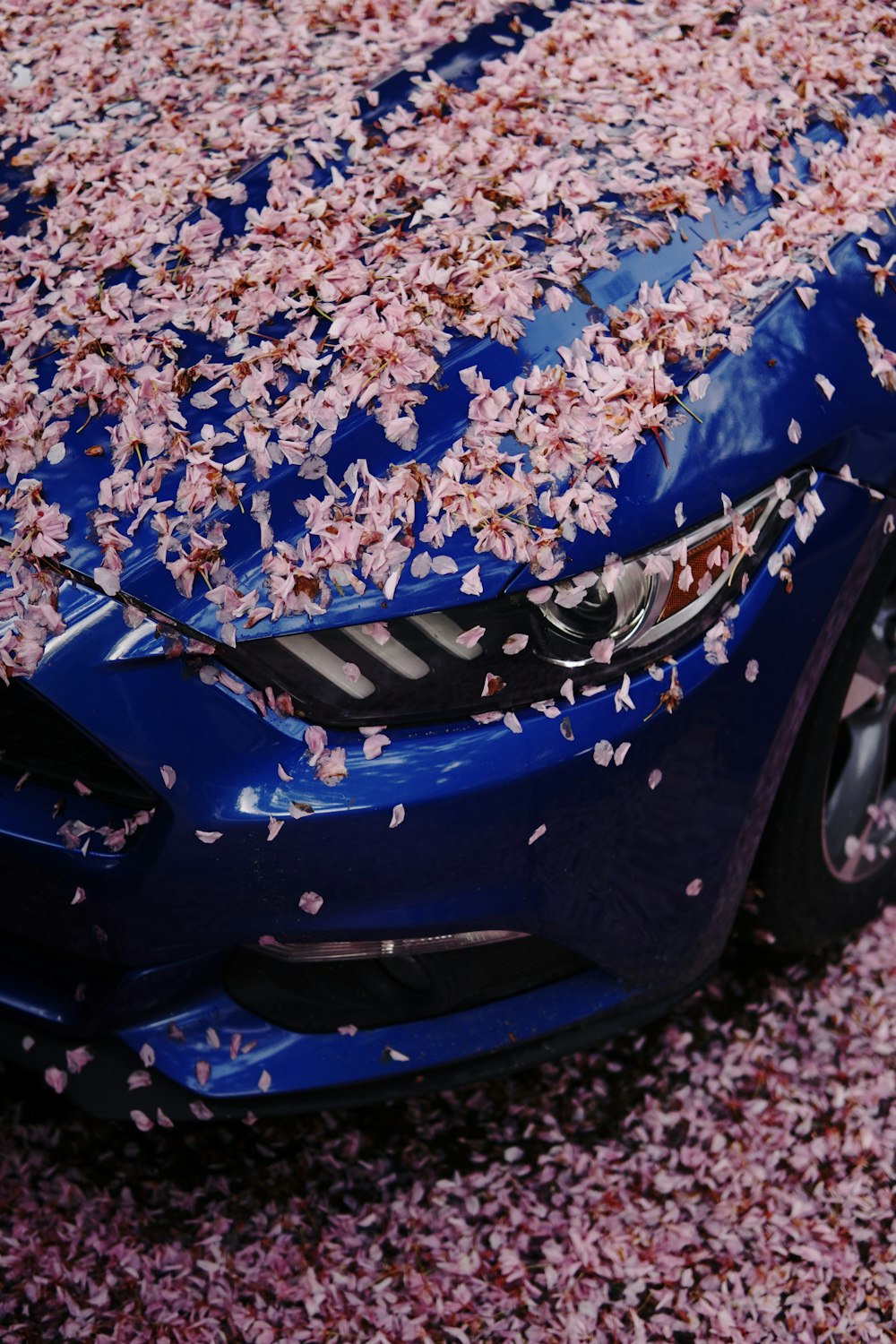 a blue car covered in pink flowers