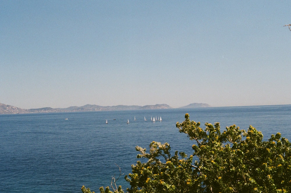a view of a body of water with boats in the distance