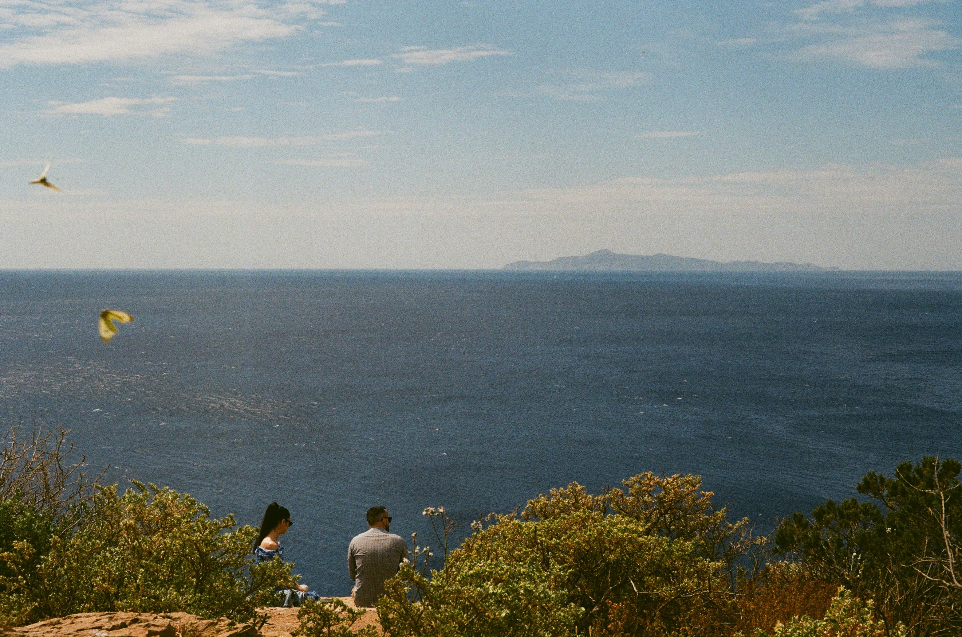 Photo by thesilvafocus