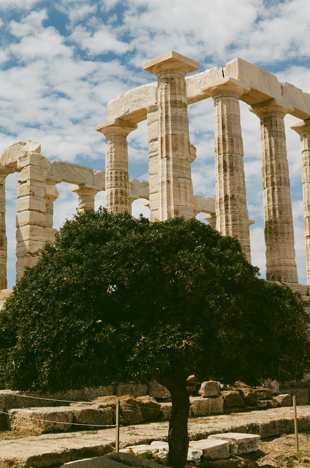 a lone tree in front of a large stone structure