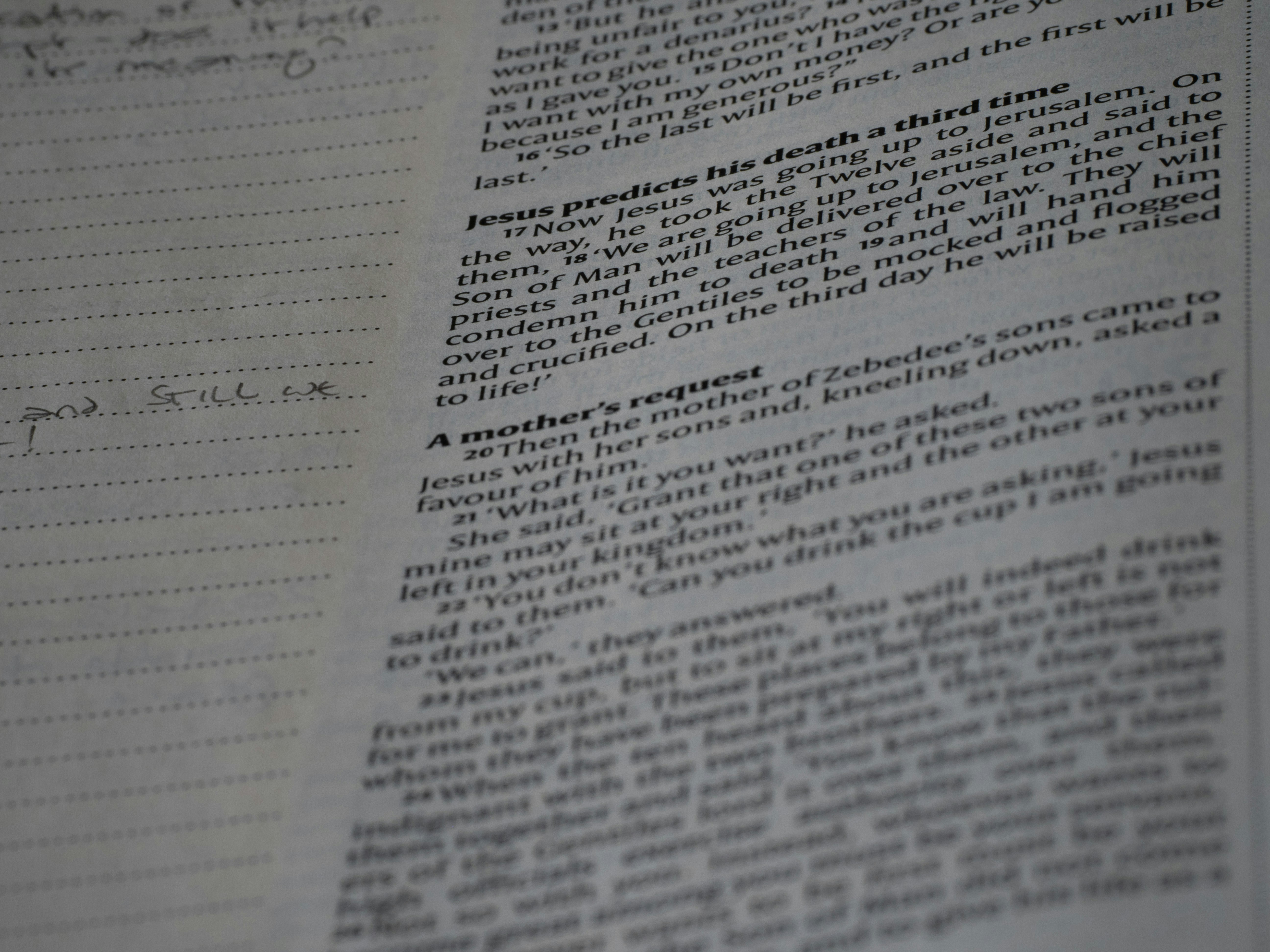 Photo by brett_jordan