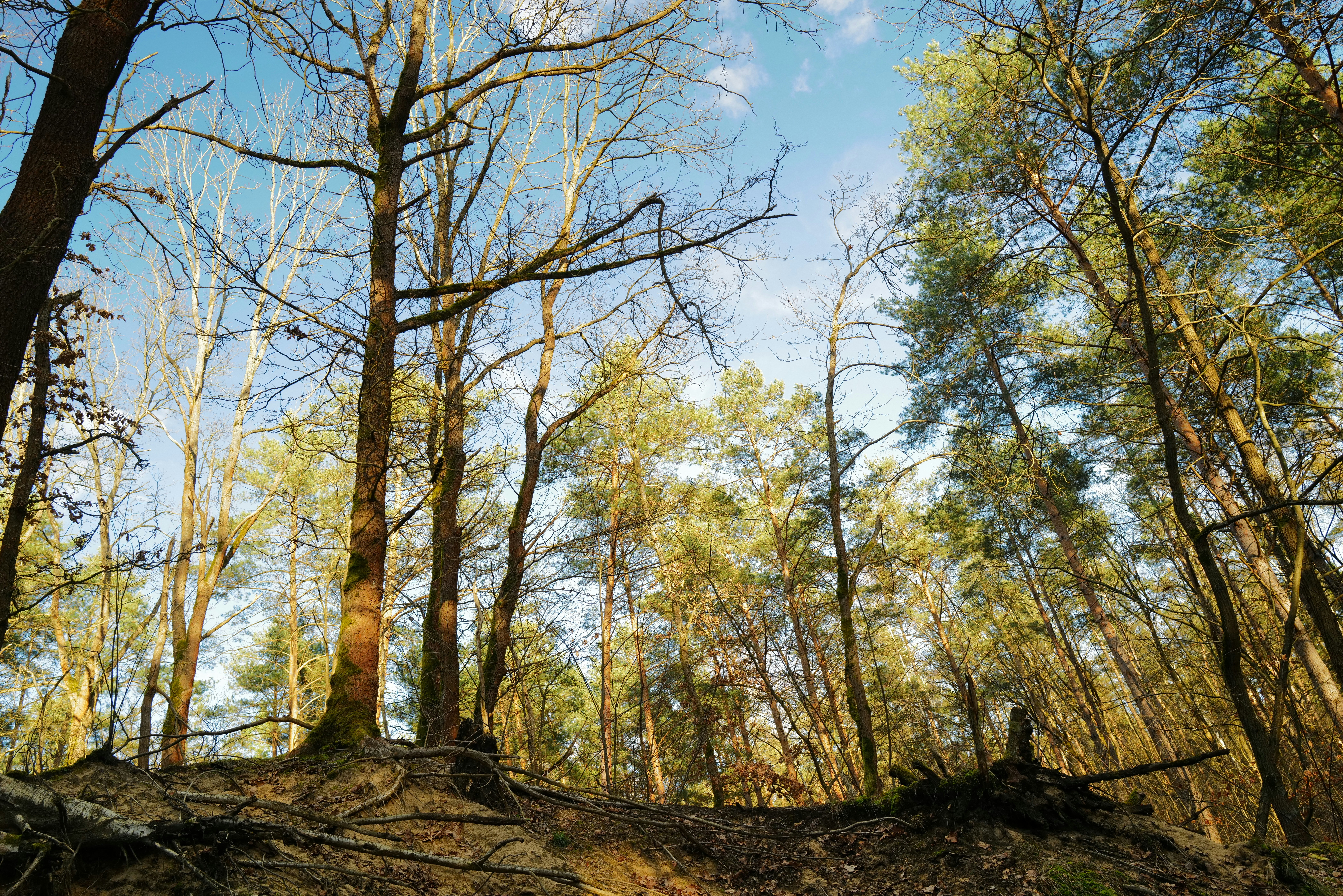 Photo by dominikferl