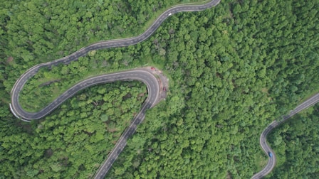 a winding road in the middle of a forest