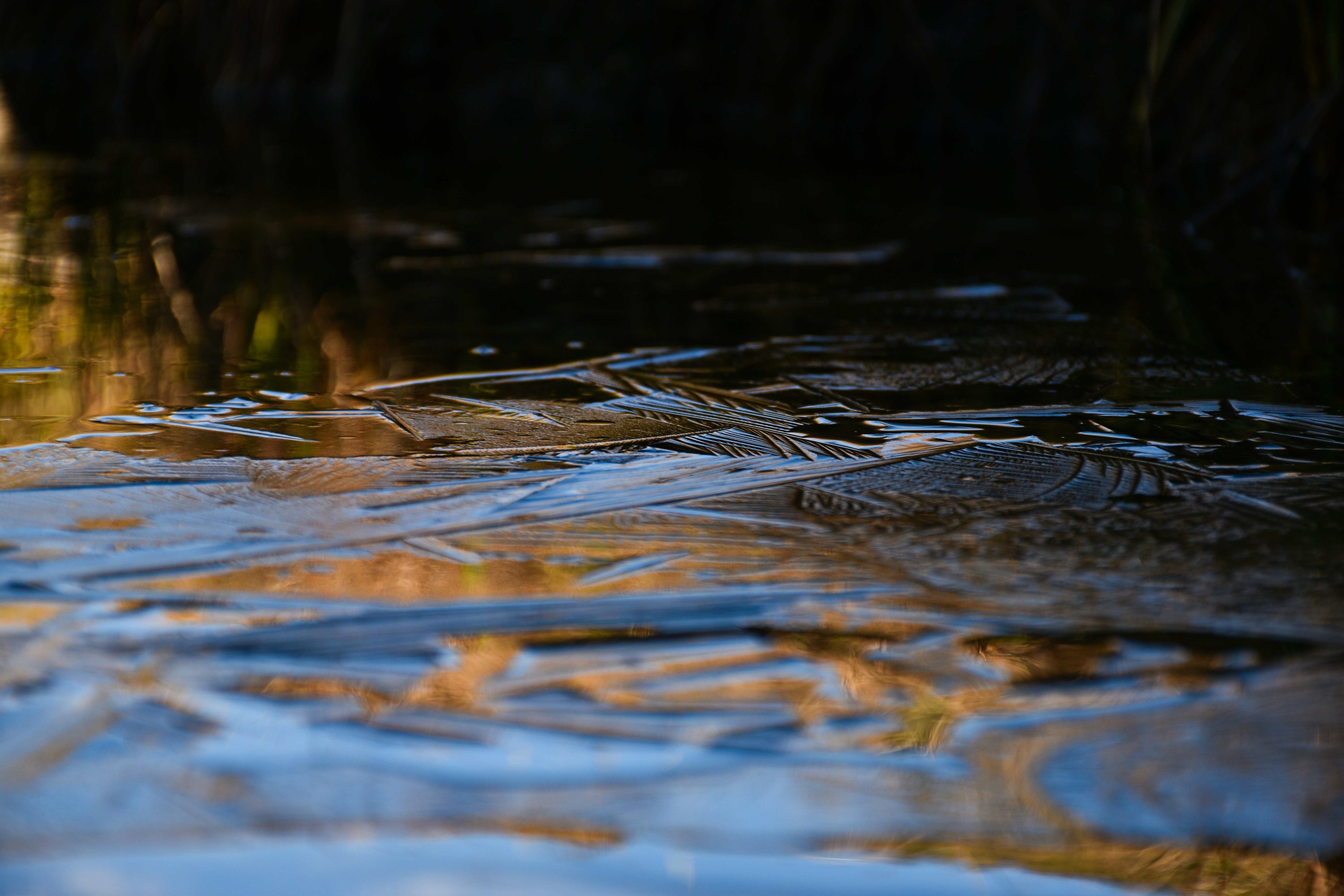 Photo by adam_skrinnikoff