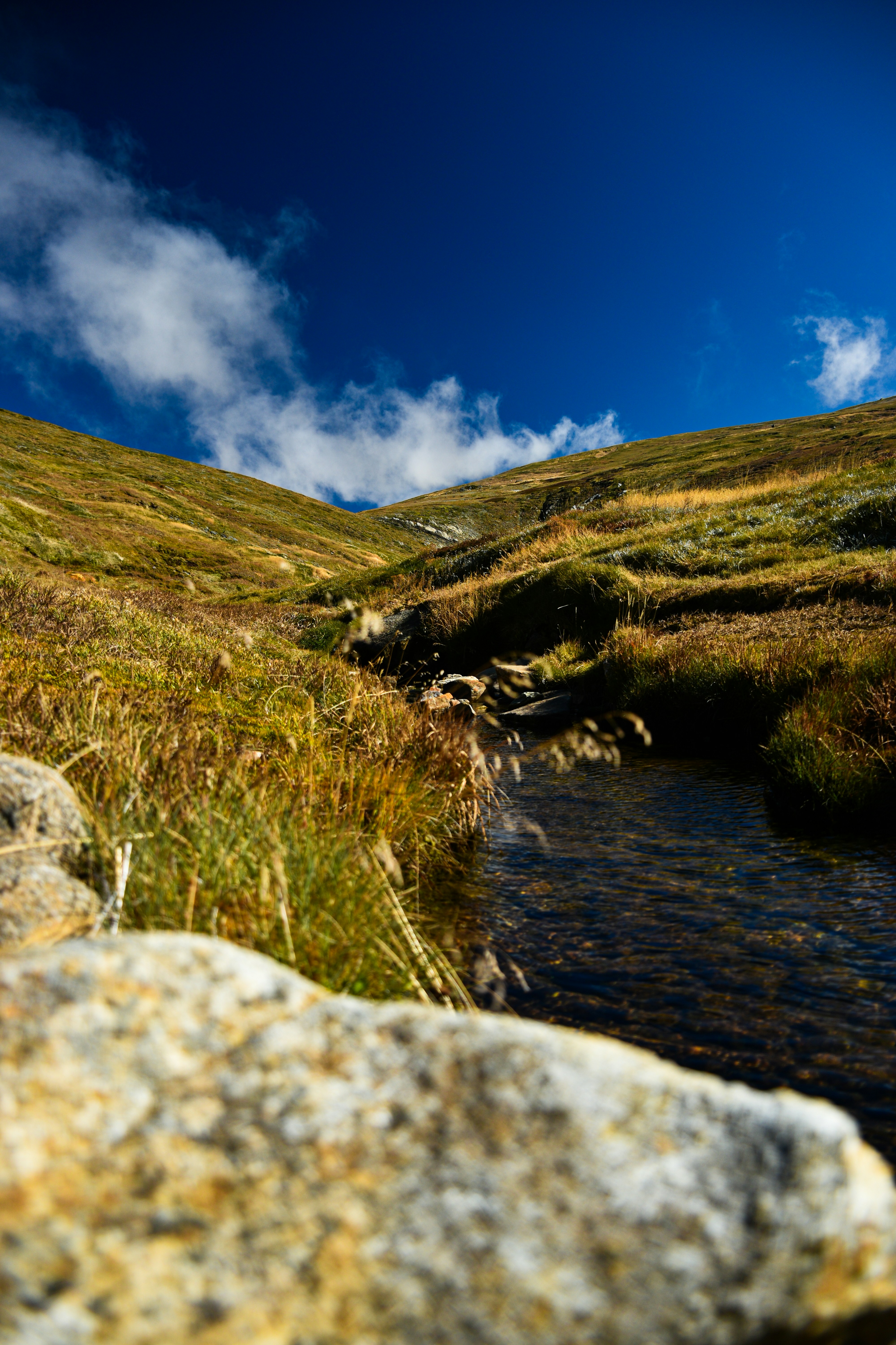 Photo by adam_skrinnikoff