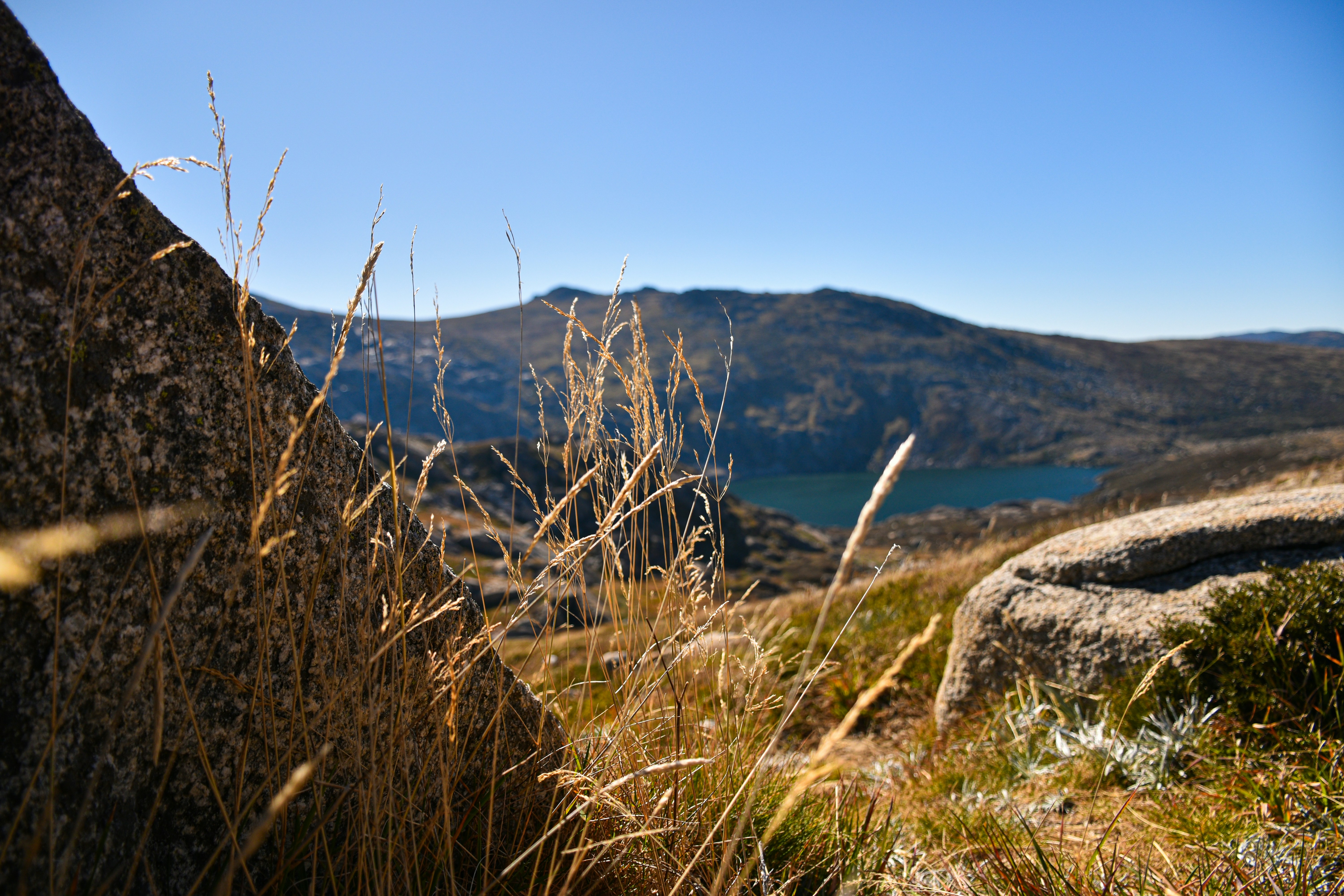 Photo by adam_skrinnikoff