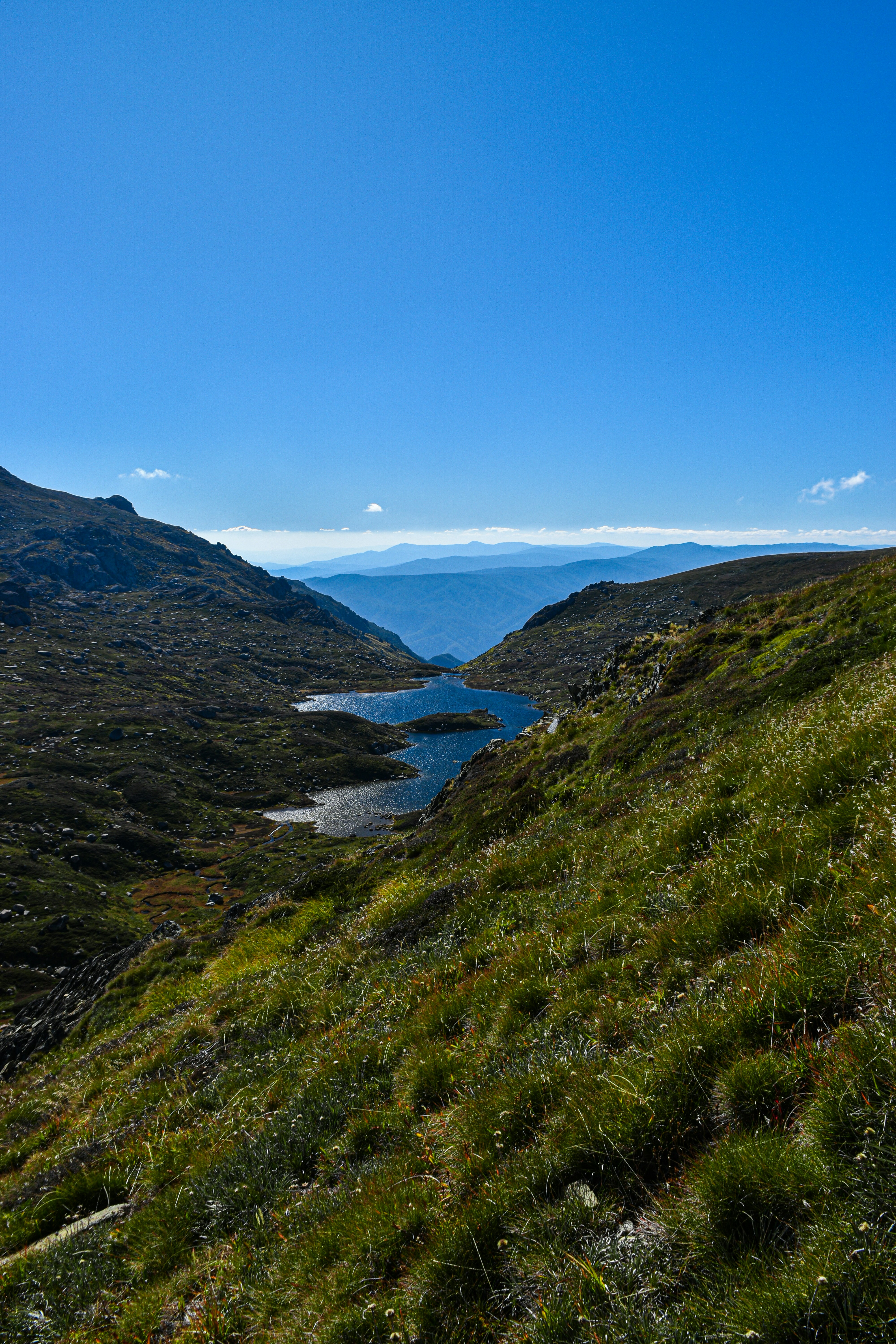 Photo by adam_skrinnikoff