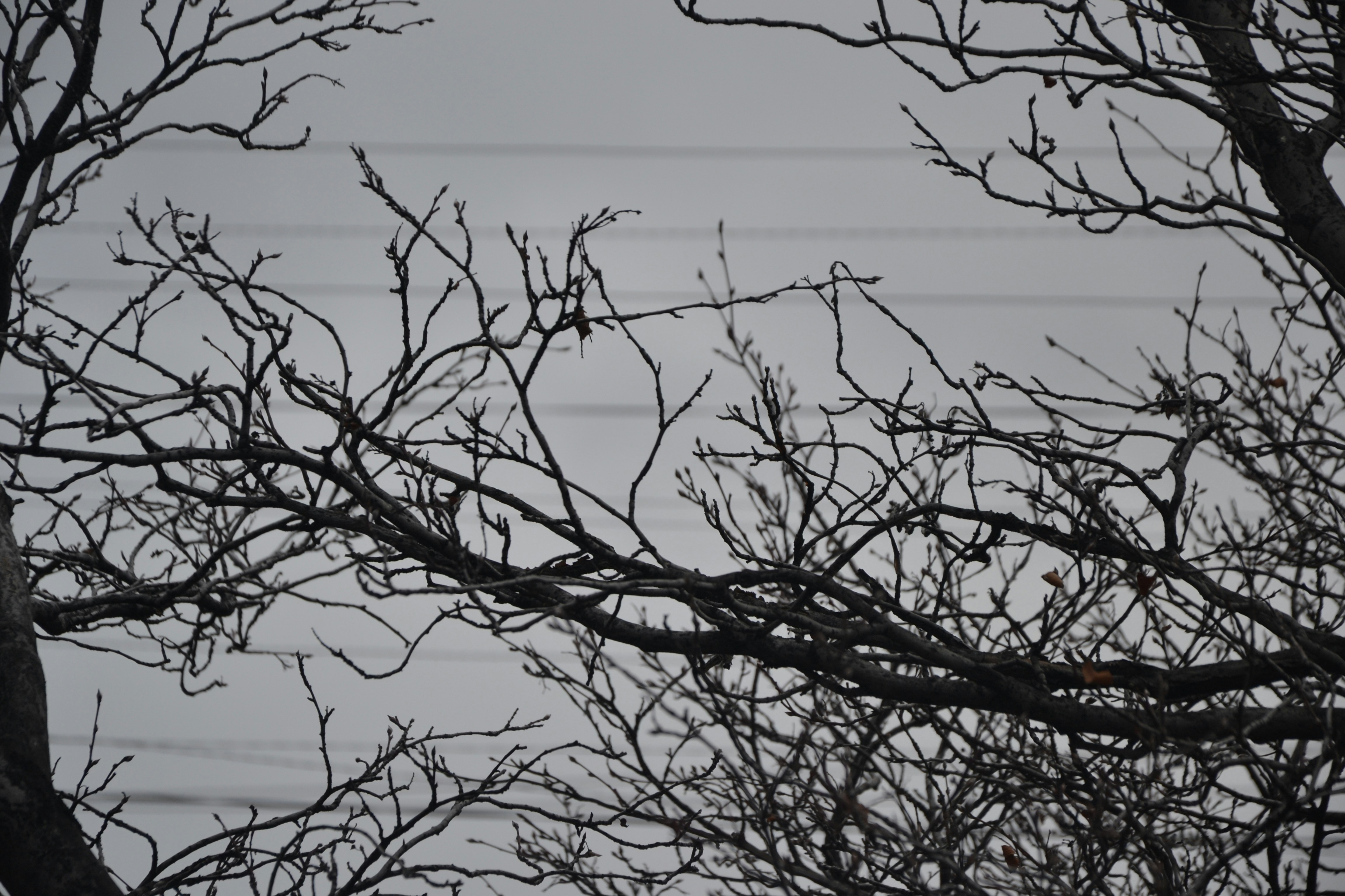 Photo by nastasya_slast