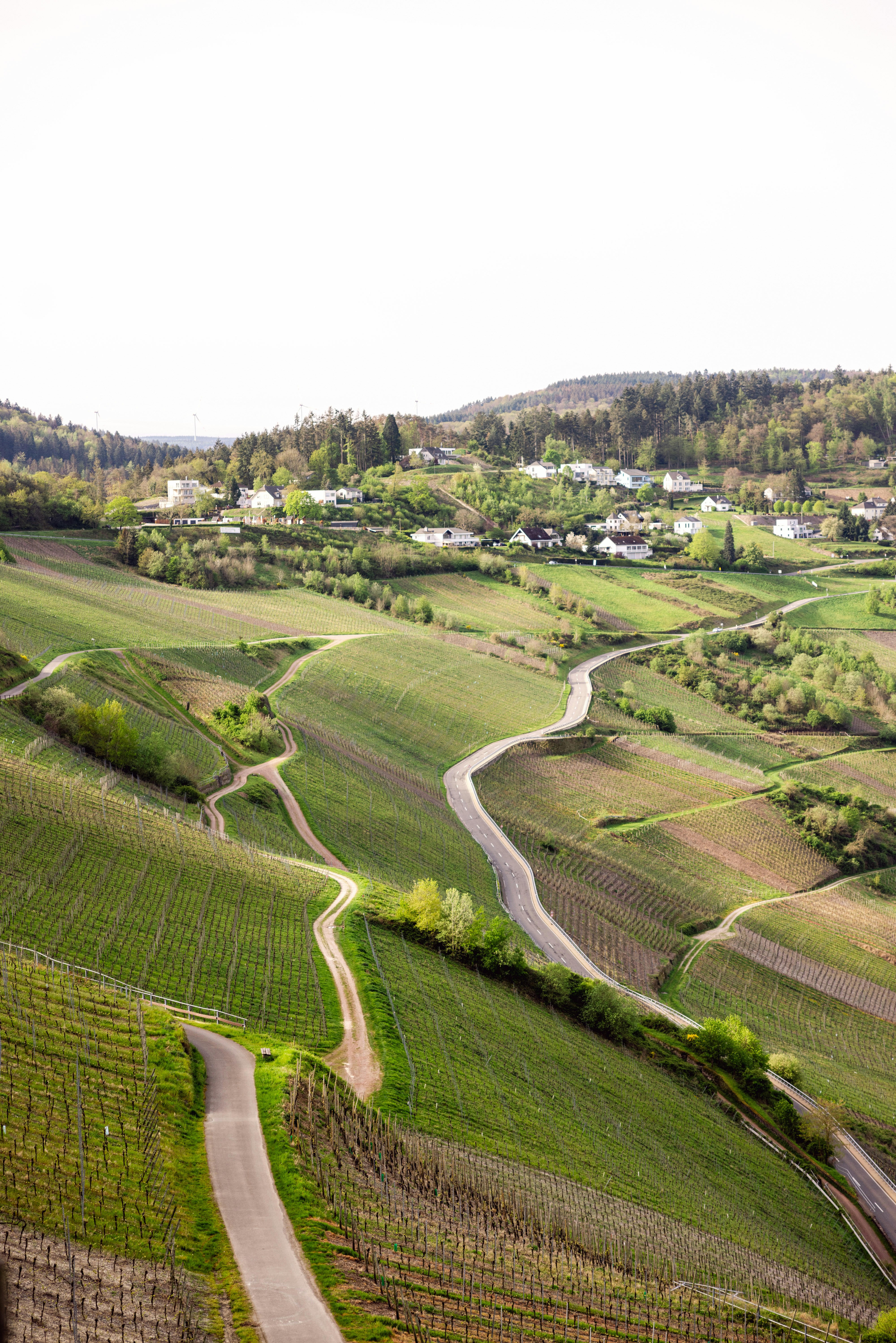 Photo by filipp_roman_photography