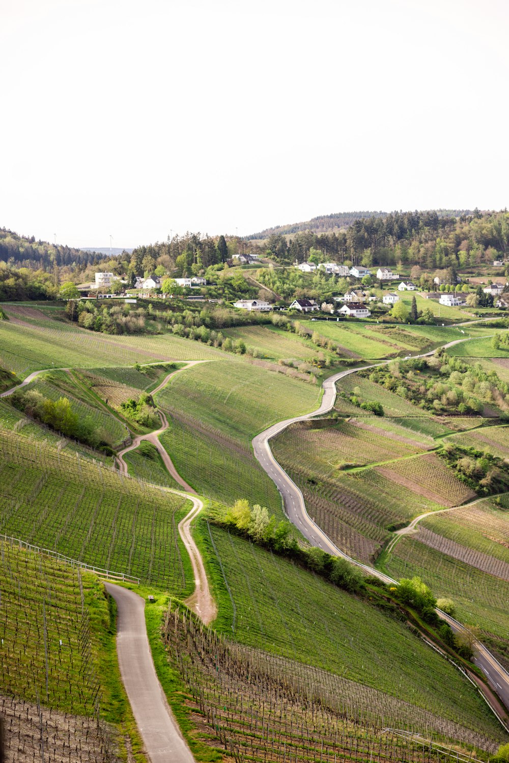 a winding road in the middle of a lush green field