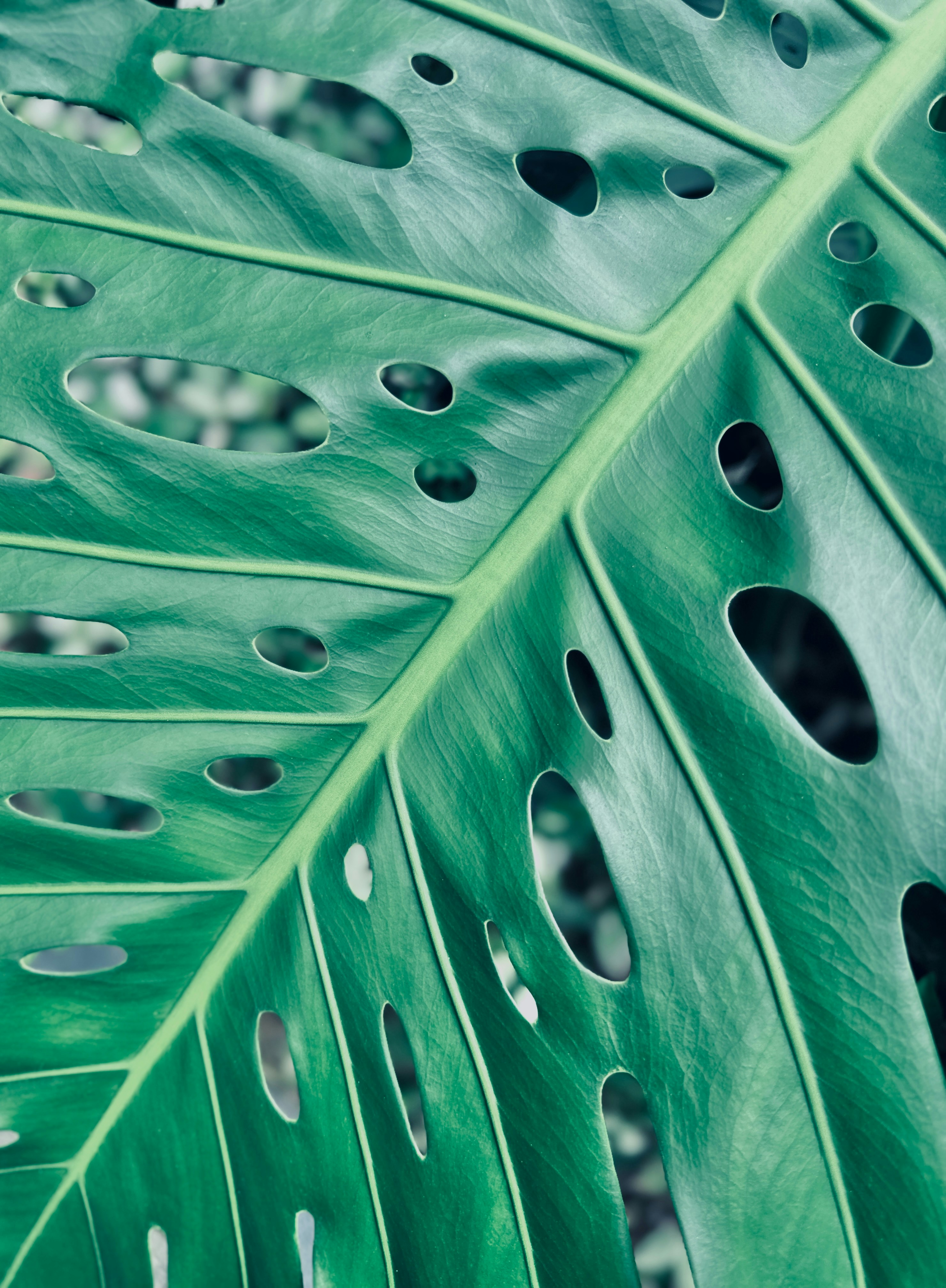 Photo by edward_cchou