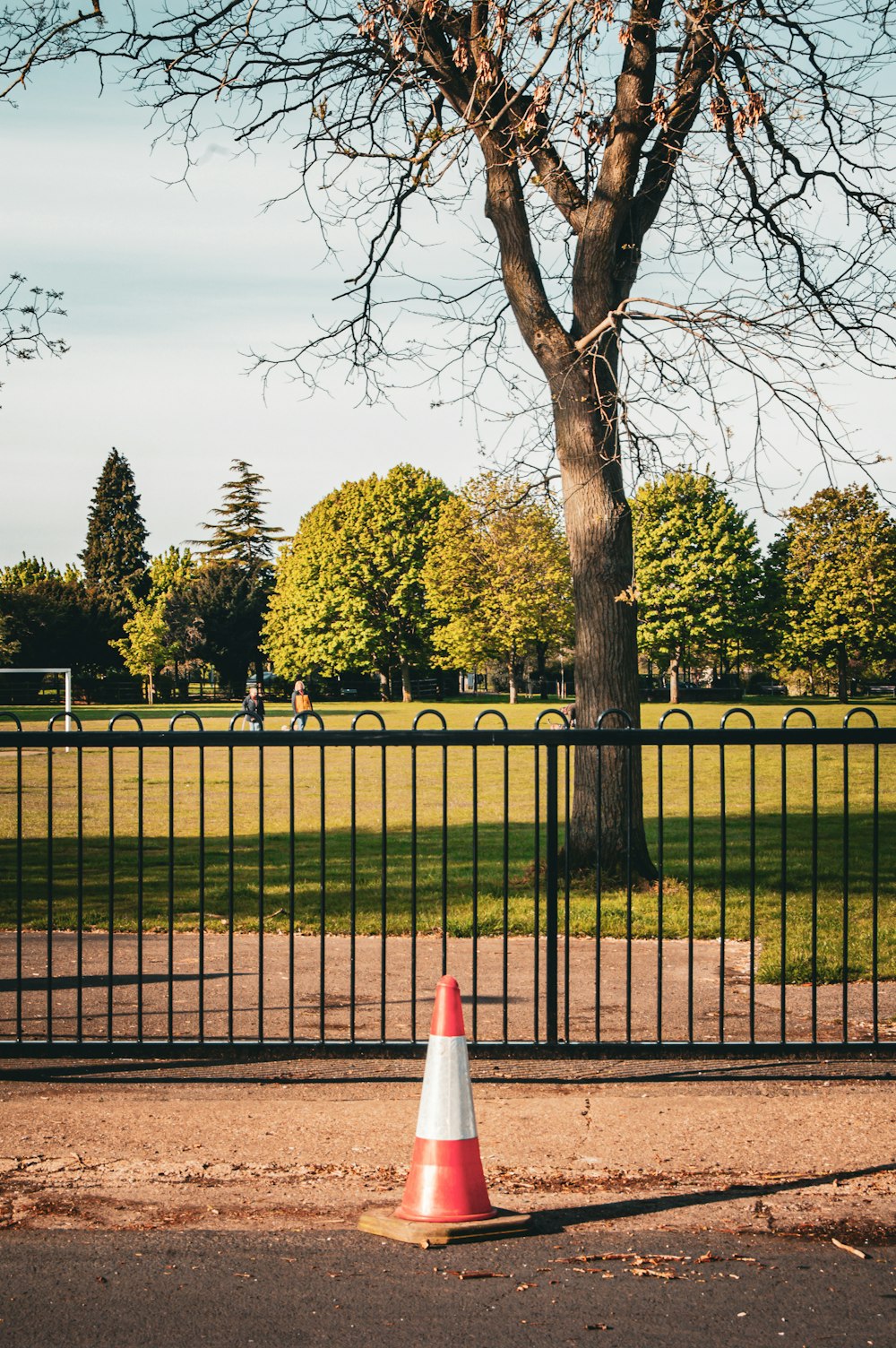 a traffic cone sitting in the middle of a park