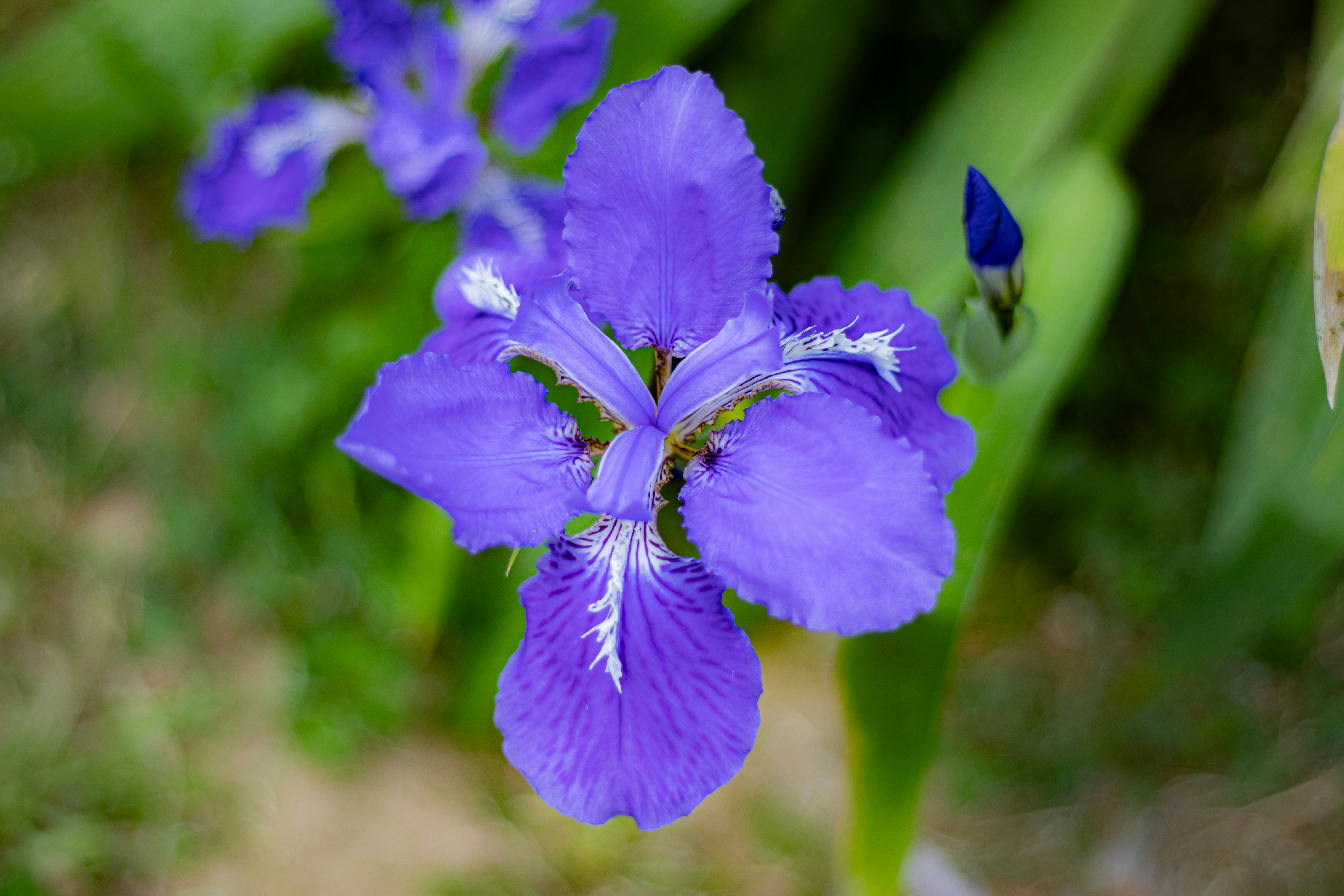 Photo by akshat_jhingran