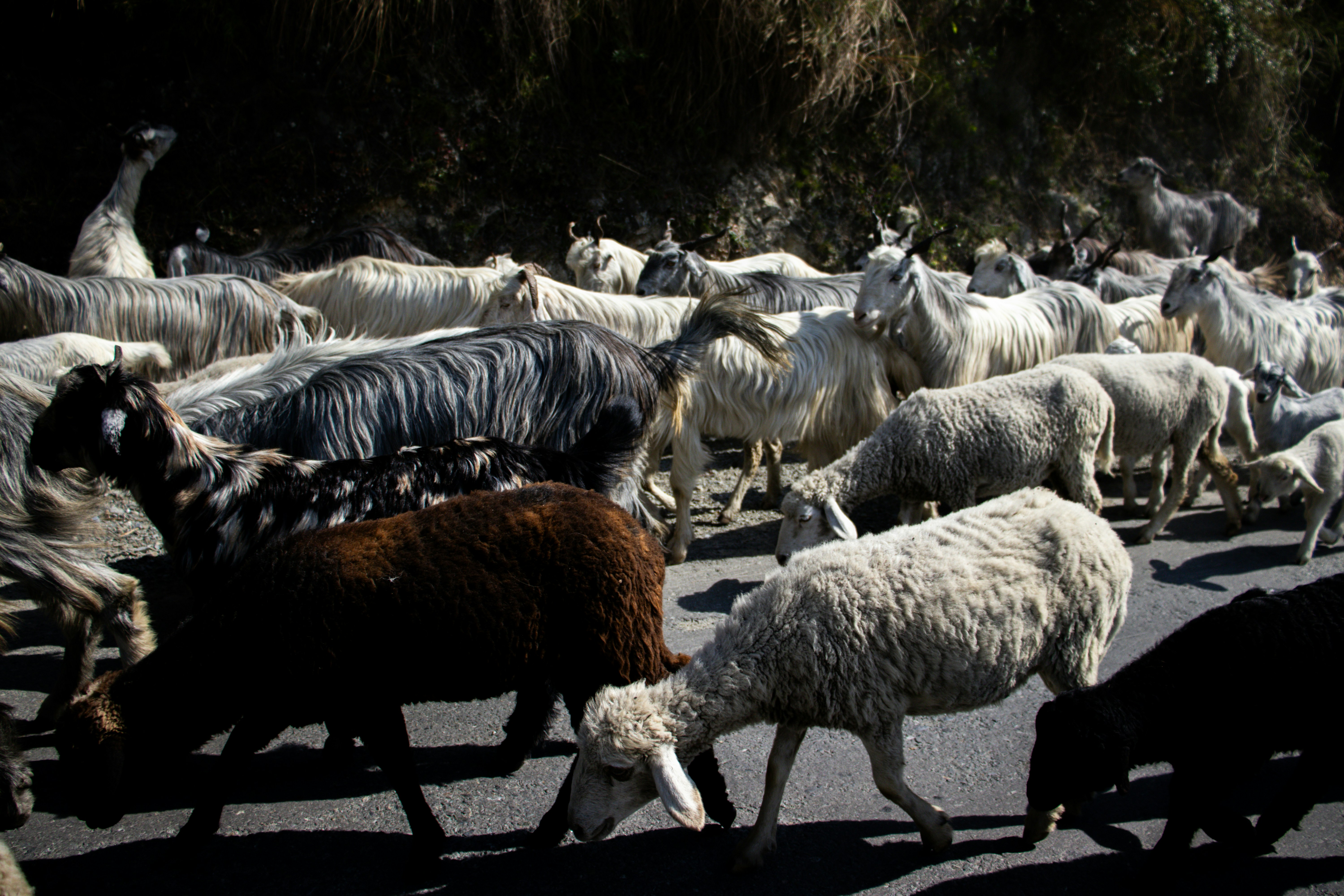 Photo by akshat_jhingran