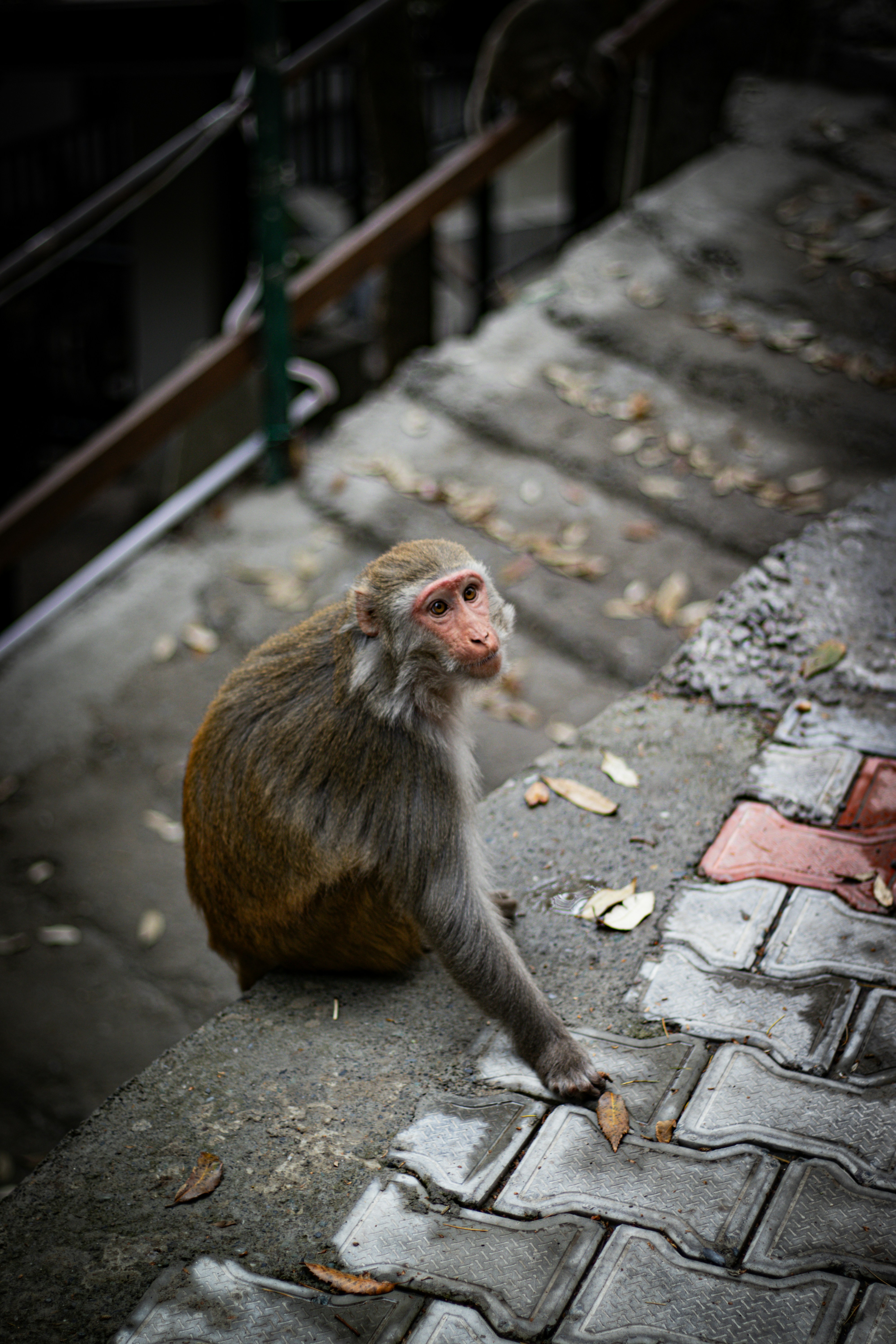 Photo by akshat_jhingran