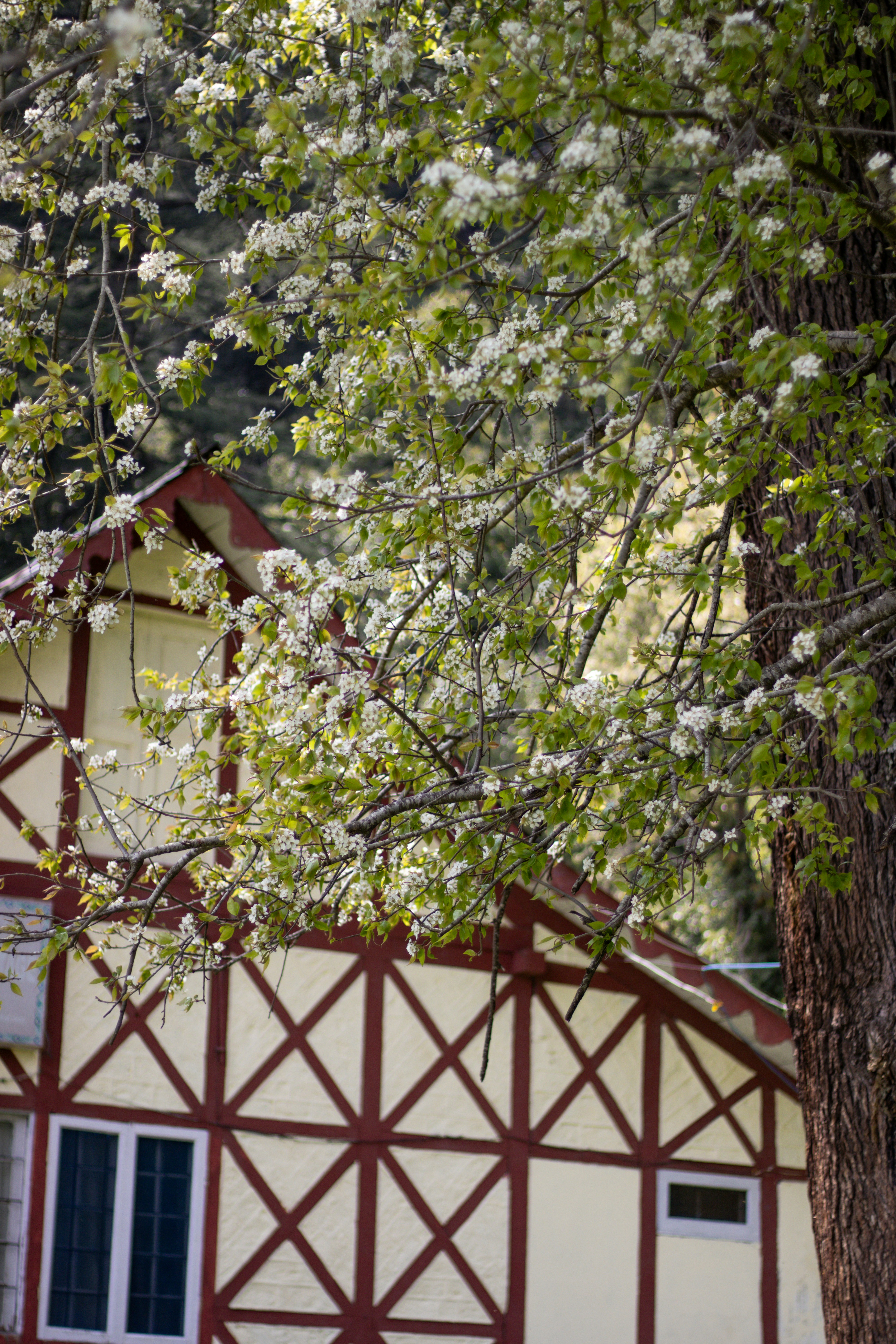 Photo by akshat_jhingran