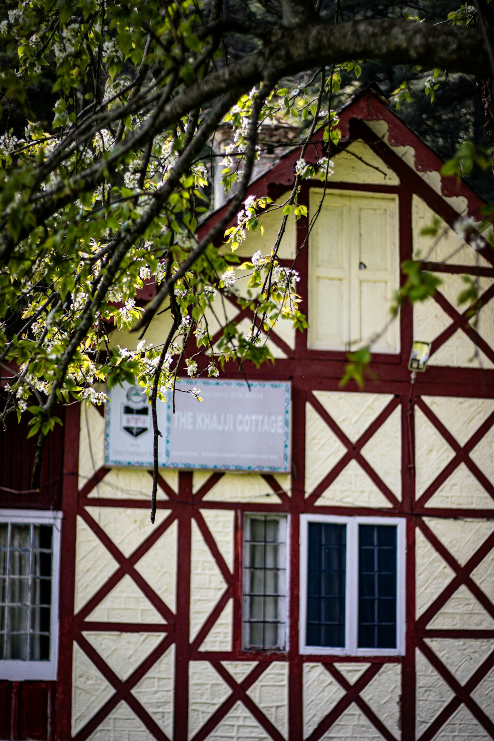 a red and white building with a tree in front of it