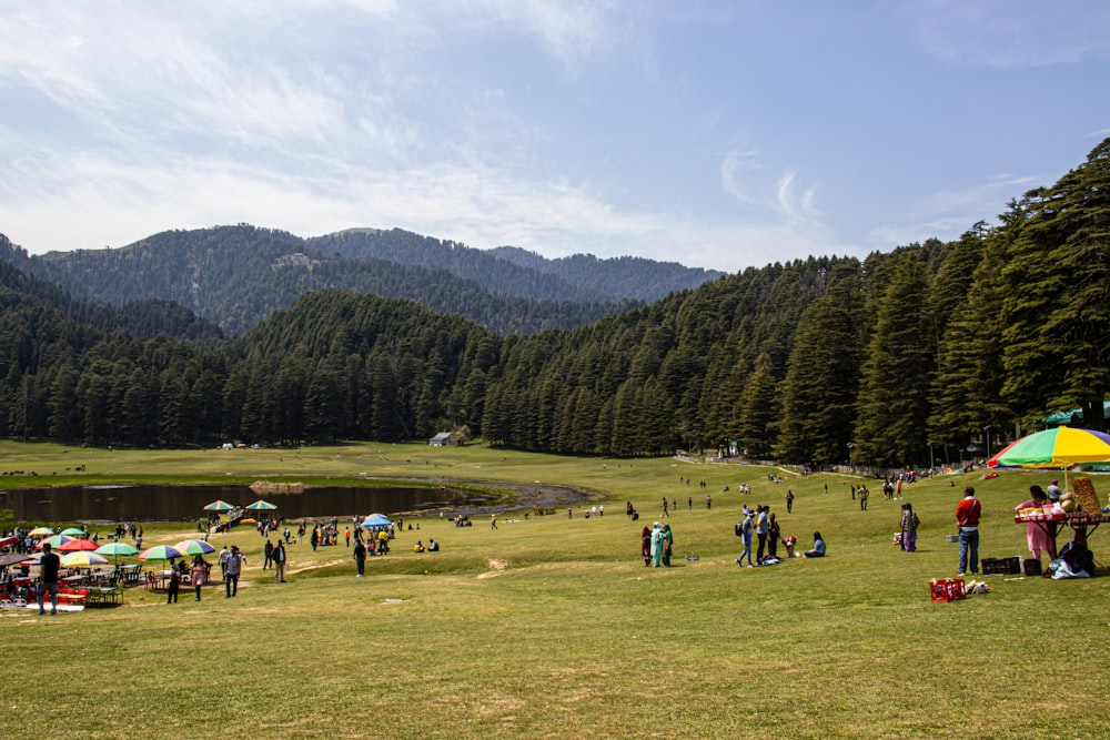 a group of people standing on top of a lush green field