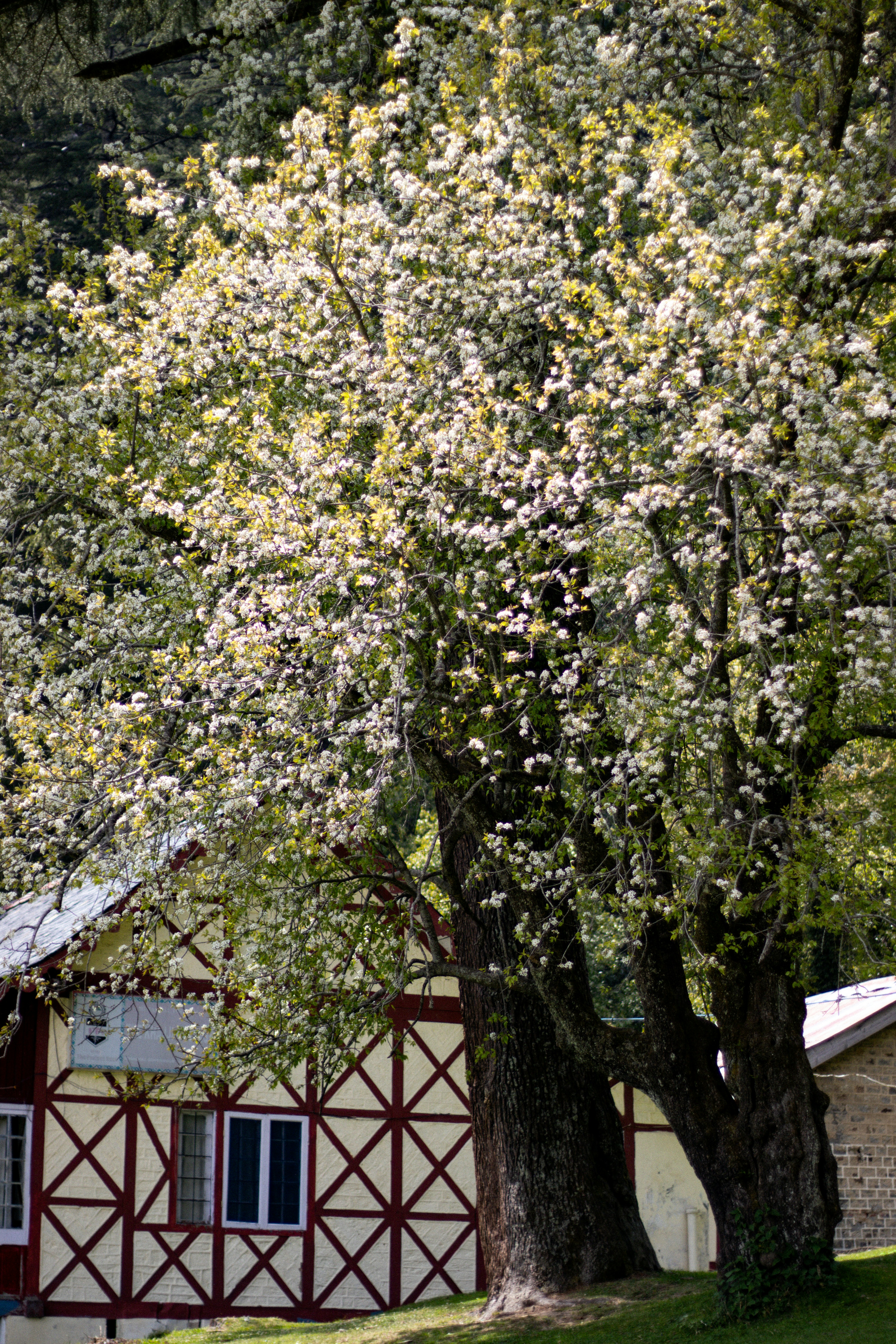 Photo by akshat_jhingran