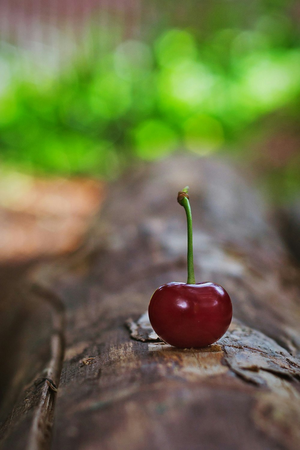 a single cherry sitting on a piece of wood