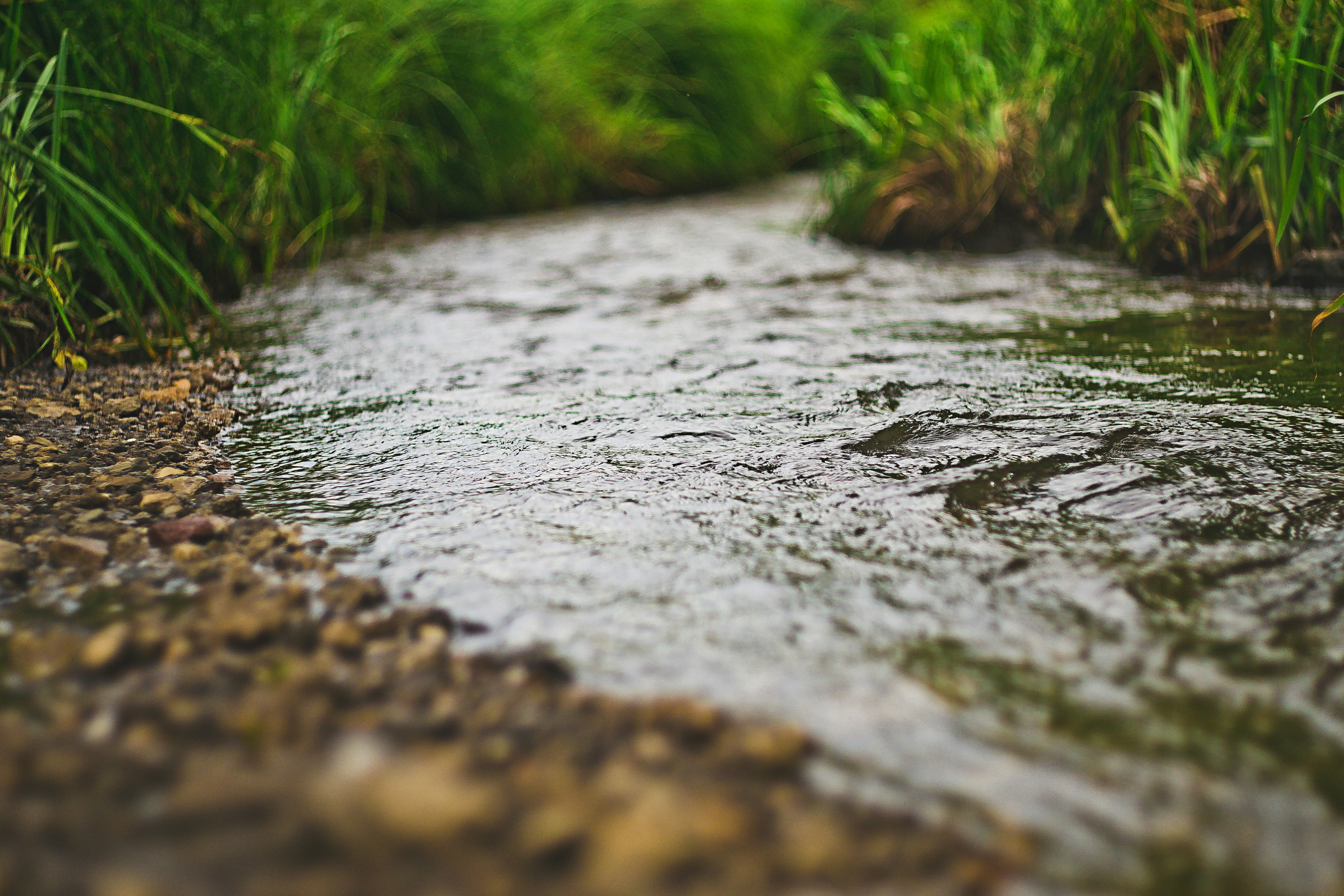 Photo by yura_batiushyn