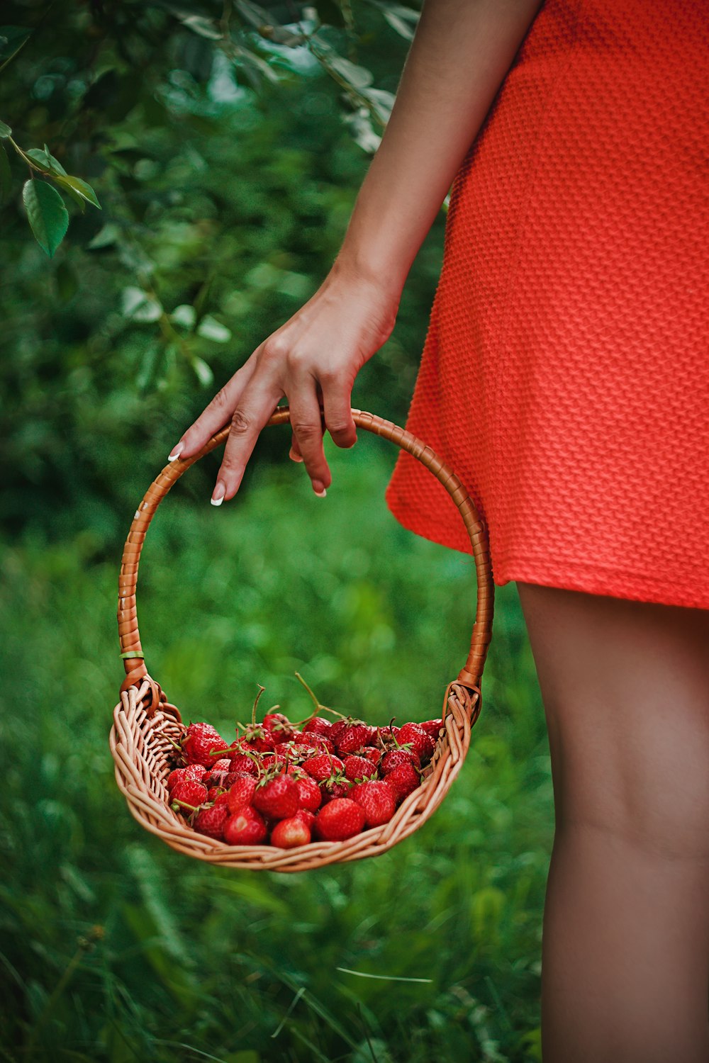a woman holding a basket full of strawberries
