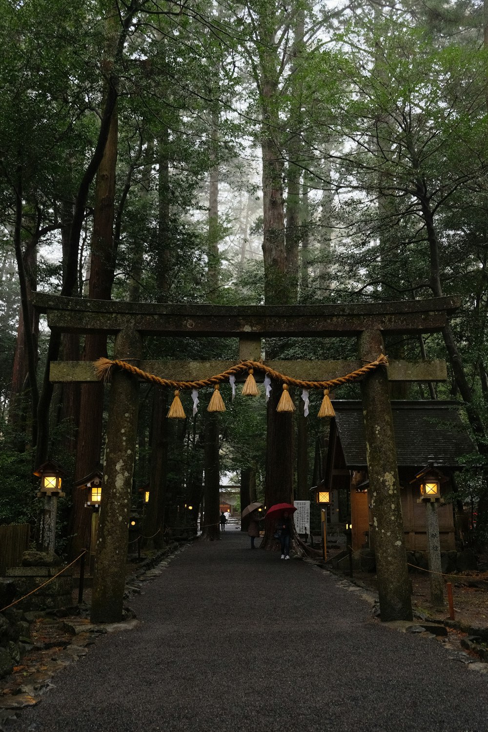 a walkway in a forest with lights hanging from the trees