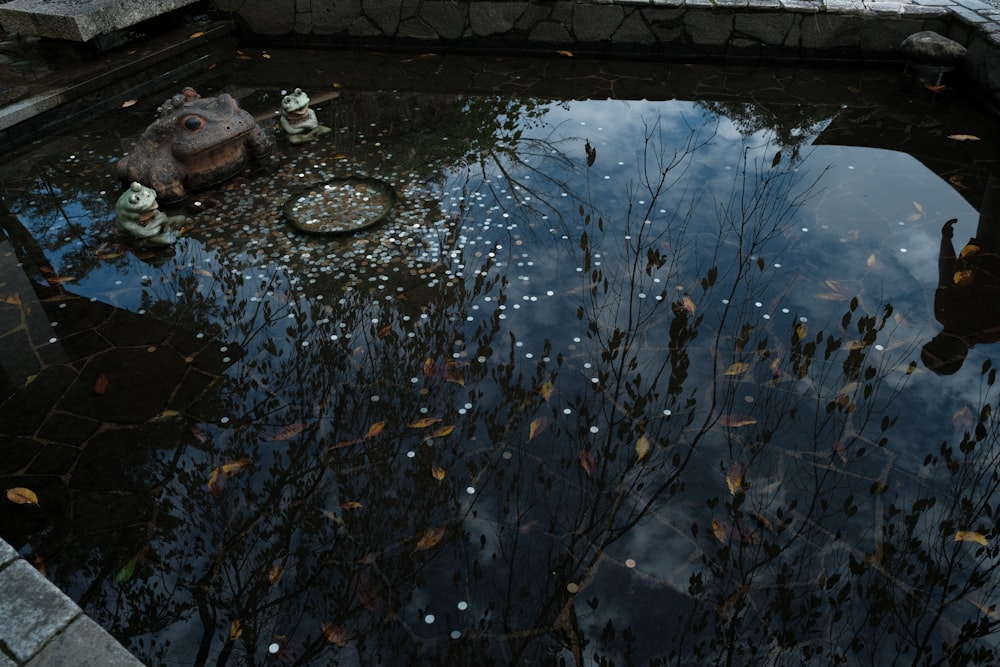 a pond filled with lots of water next to a sidewalk