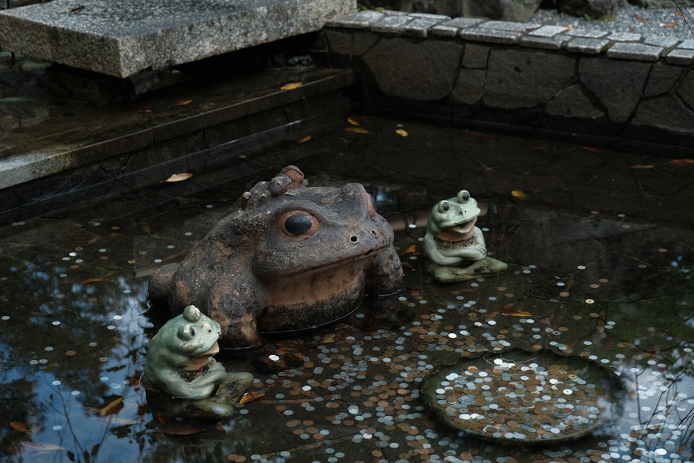 a group of frogs sitting on top of a pond