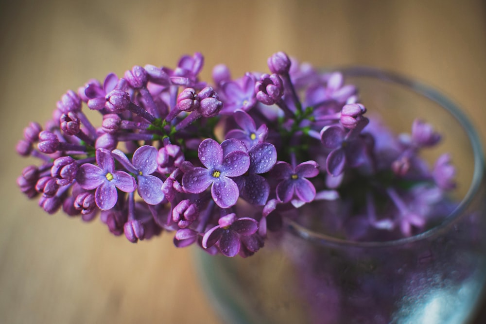 a glass vase filled with purple flowers on top of a wooden table