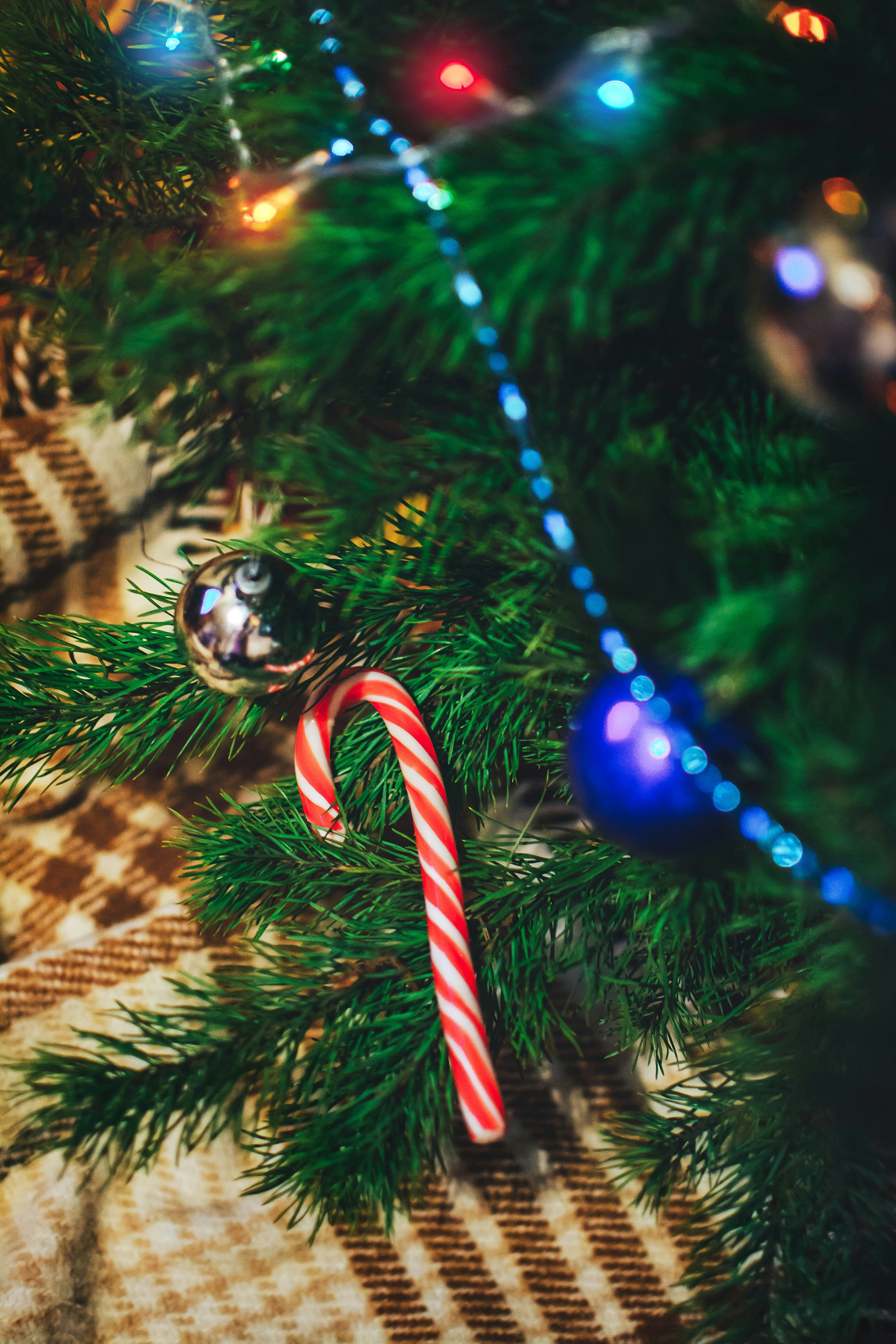 Photo by yura_batiushyn