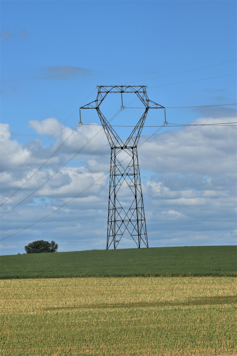 a power line in the middle of a field