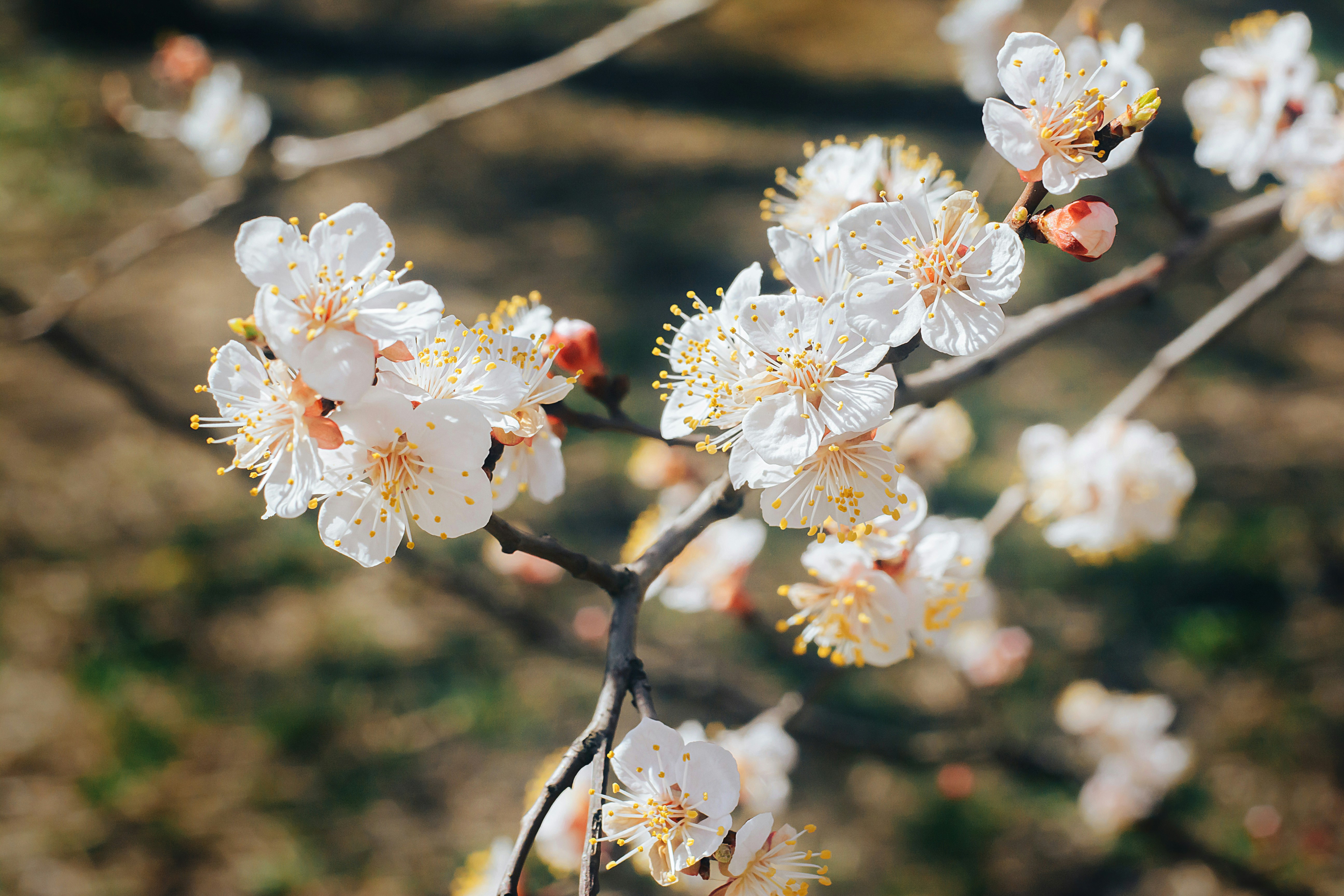 Photo by yura_batiushyn