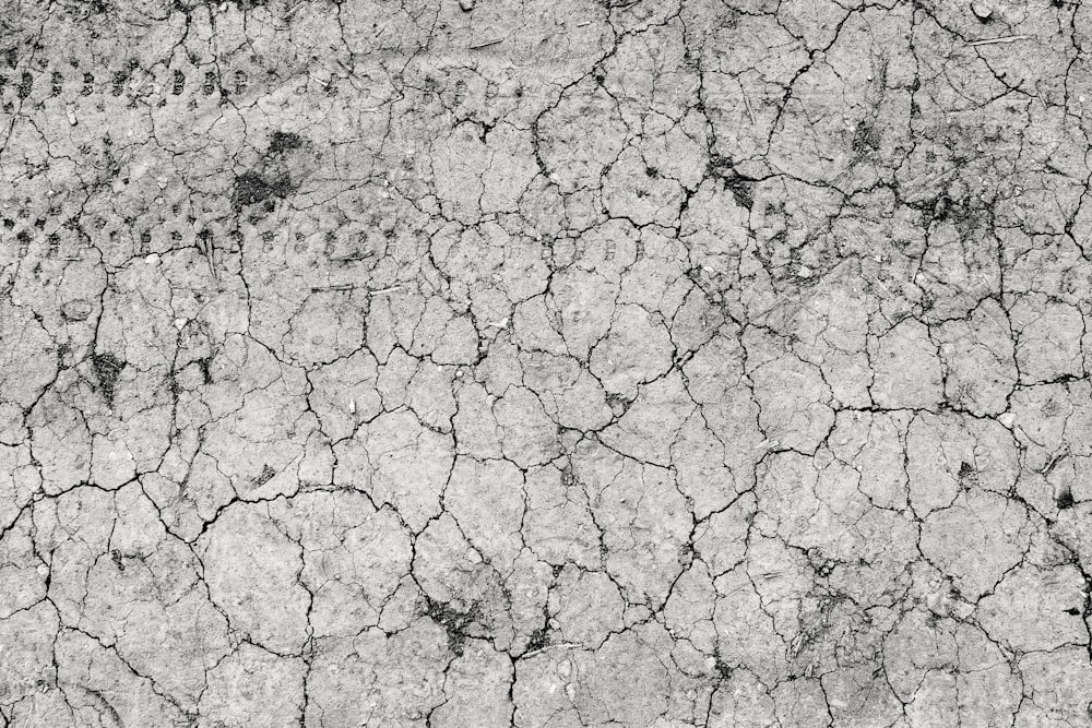 a black and white photo of a cracked surface