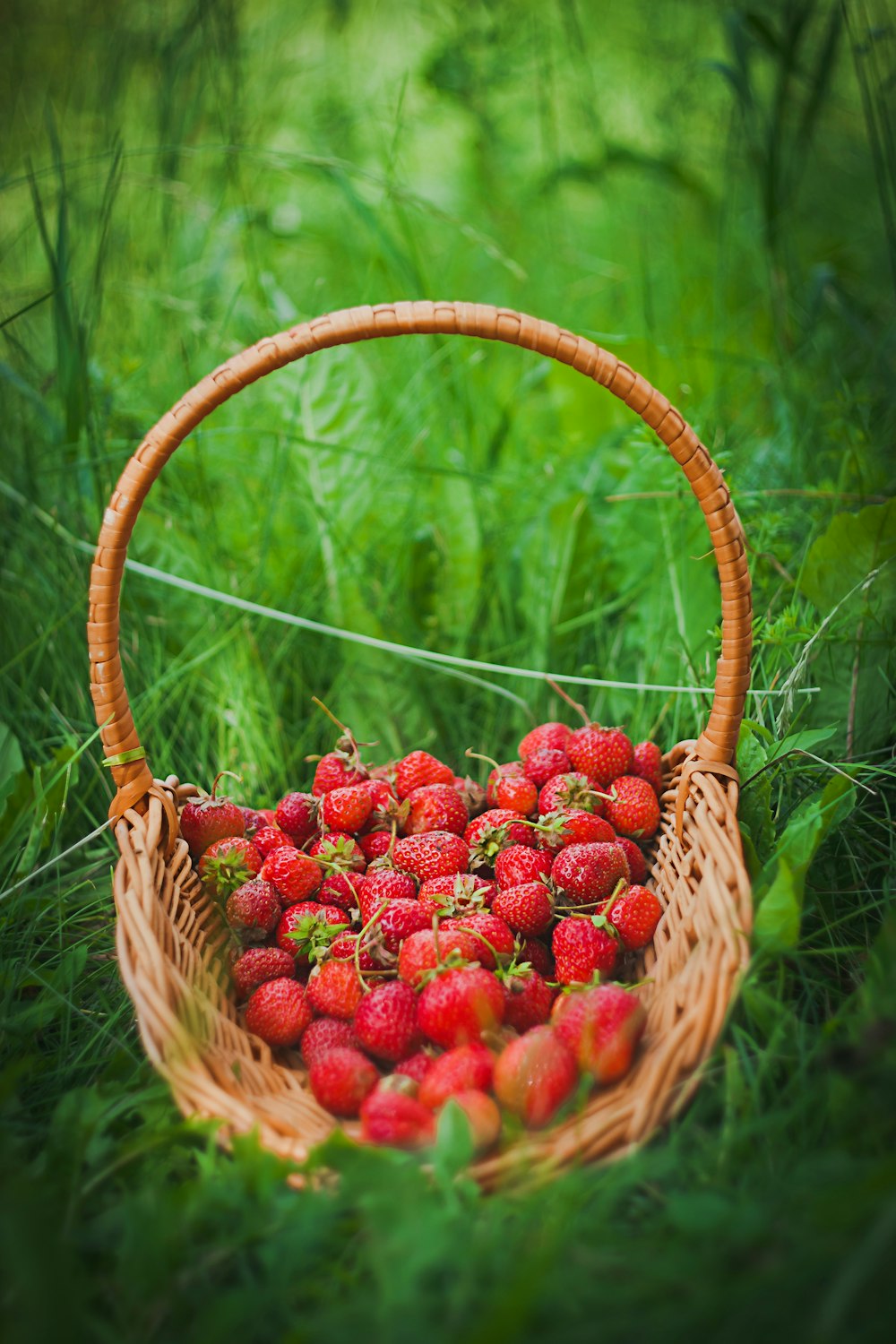 a basket full of strawberries sitting in the grass