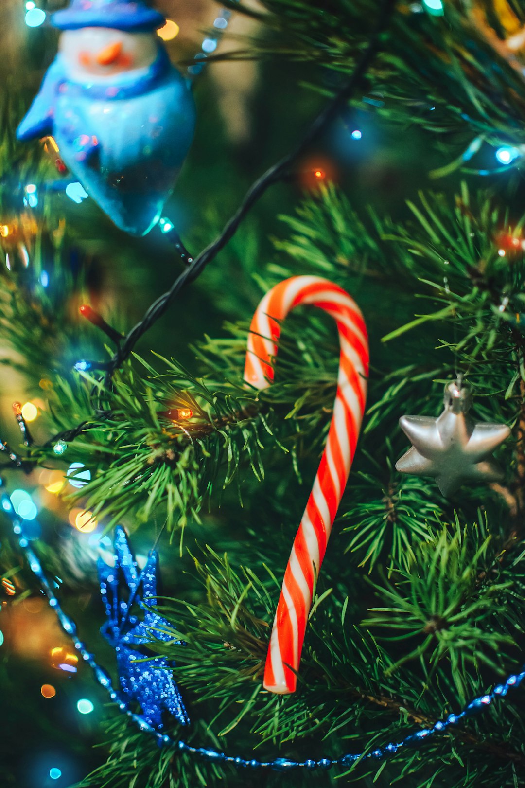 Tasty candy on a Christmas tree in winter