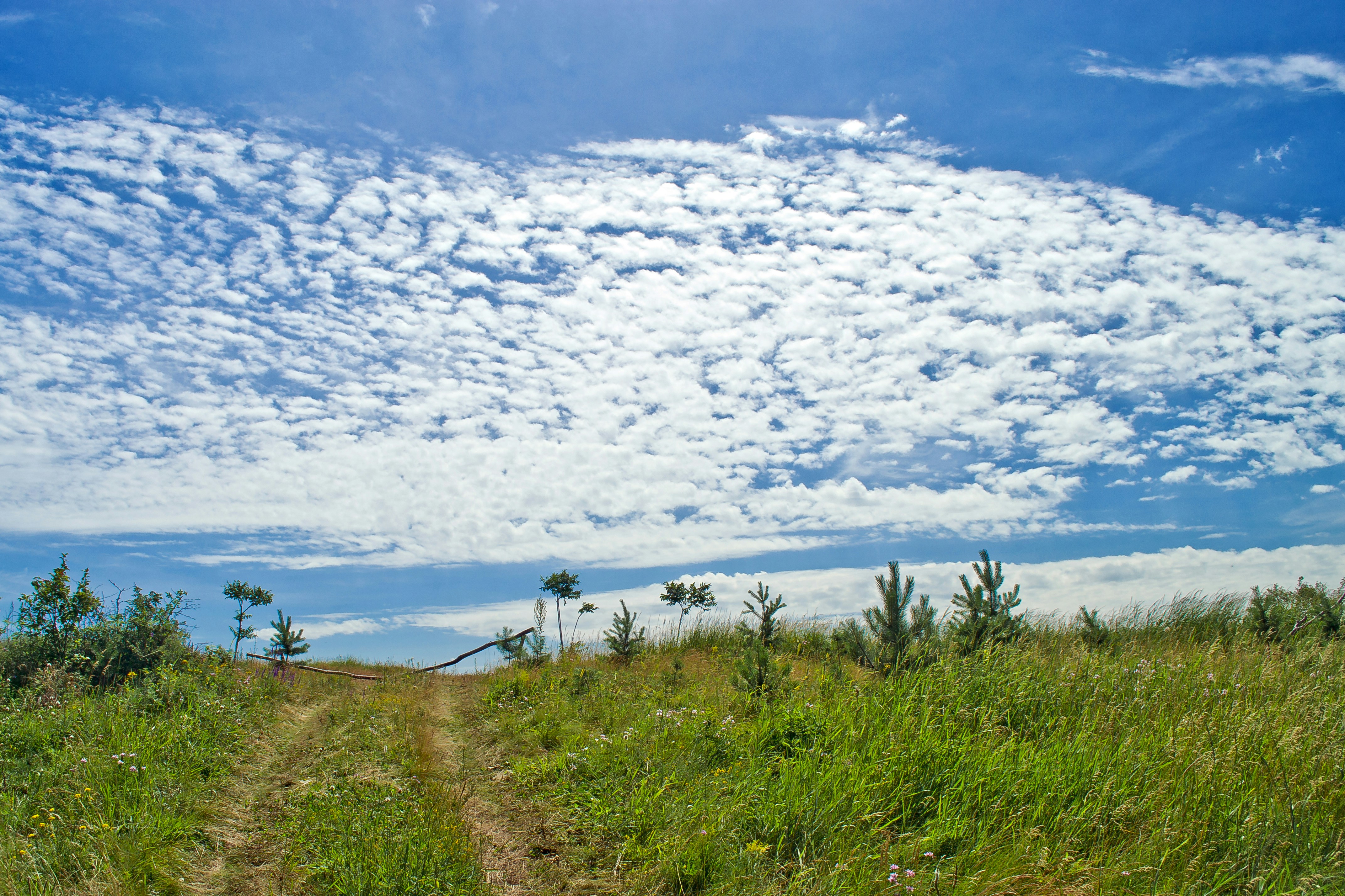 Photo by yura_batiushyn