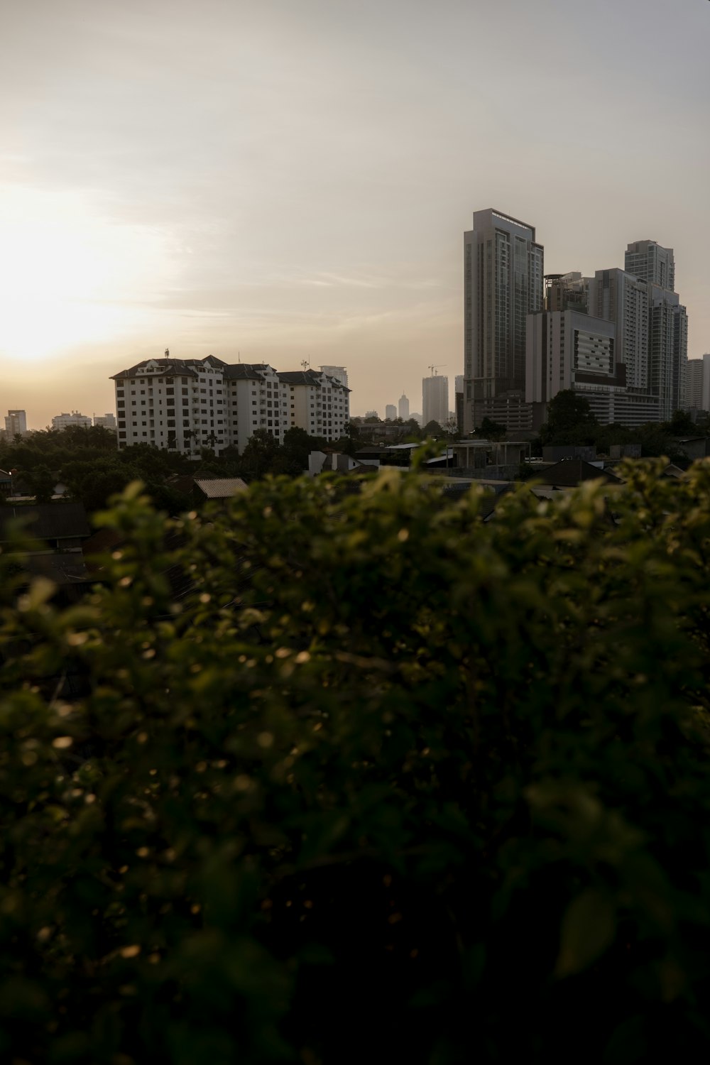 a view of a city with tall buildings in the background